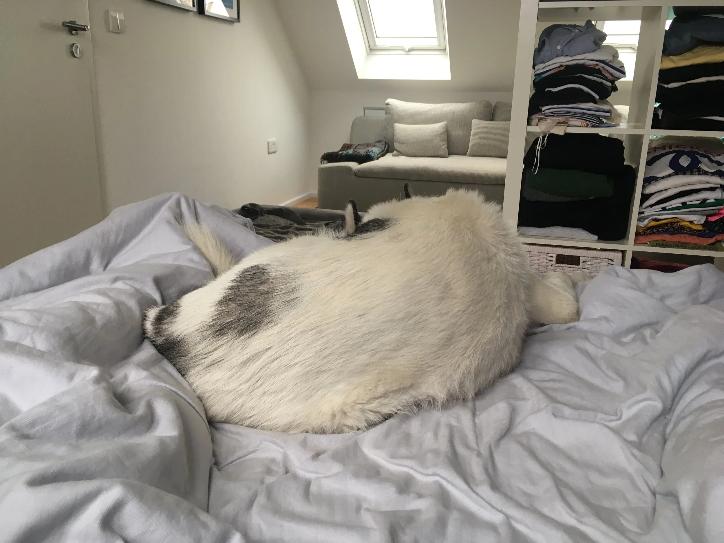 Little heavens: Bed cuddles