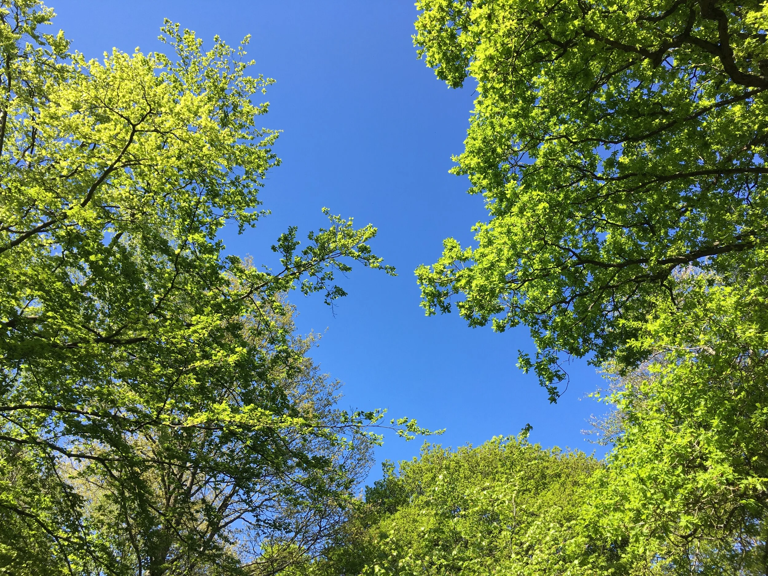 From dust we've come