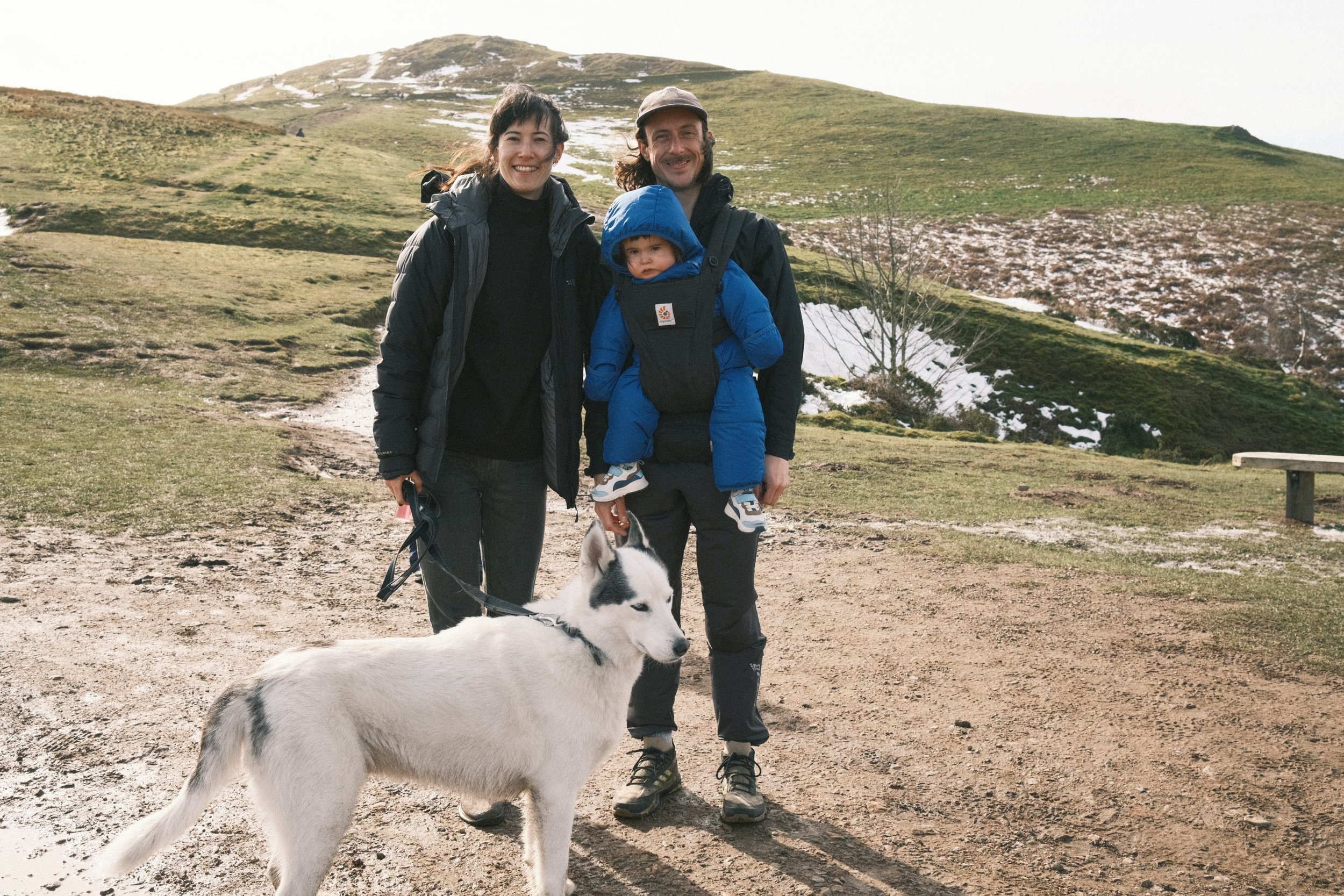 Would you pay £2,692 a year to insure your dog? ManyPets thinks so.