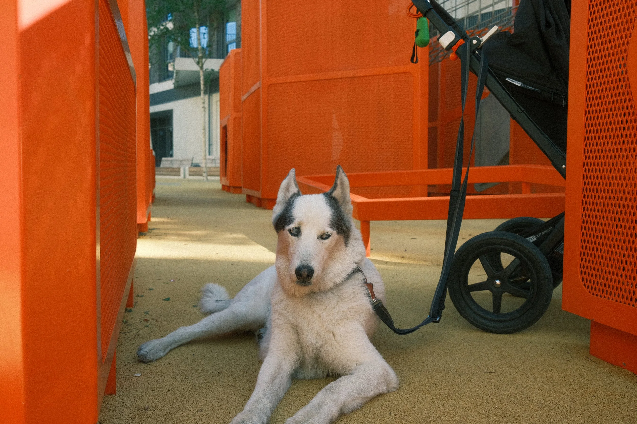 Findings from a call with ManyPets’ Head of Complaints