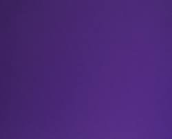 purple.jpeg