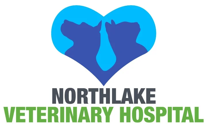 Northlake logo competition entry 1