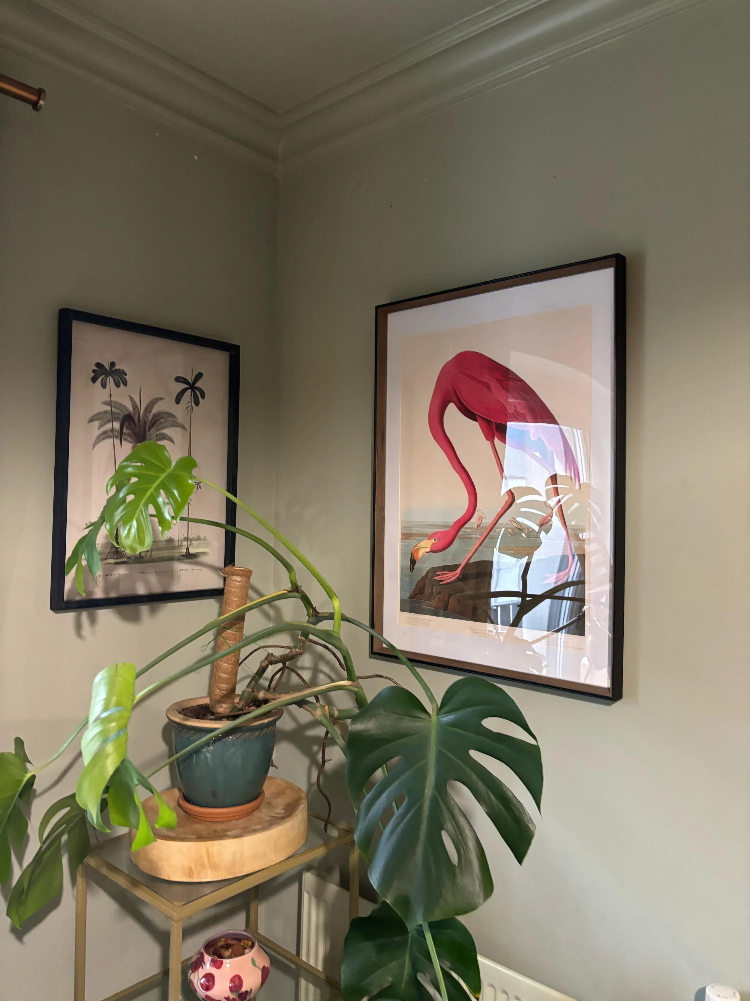 WhatsApp Image 2025-02-24 at 11.21.57 AM (2).jpeg