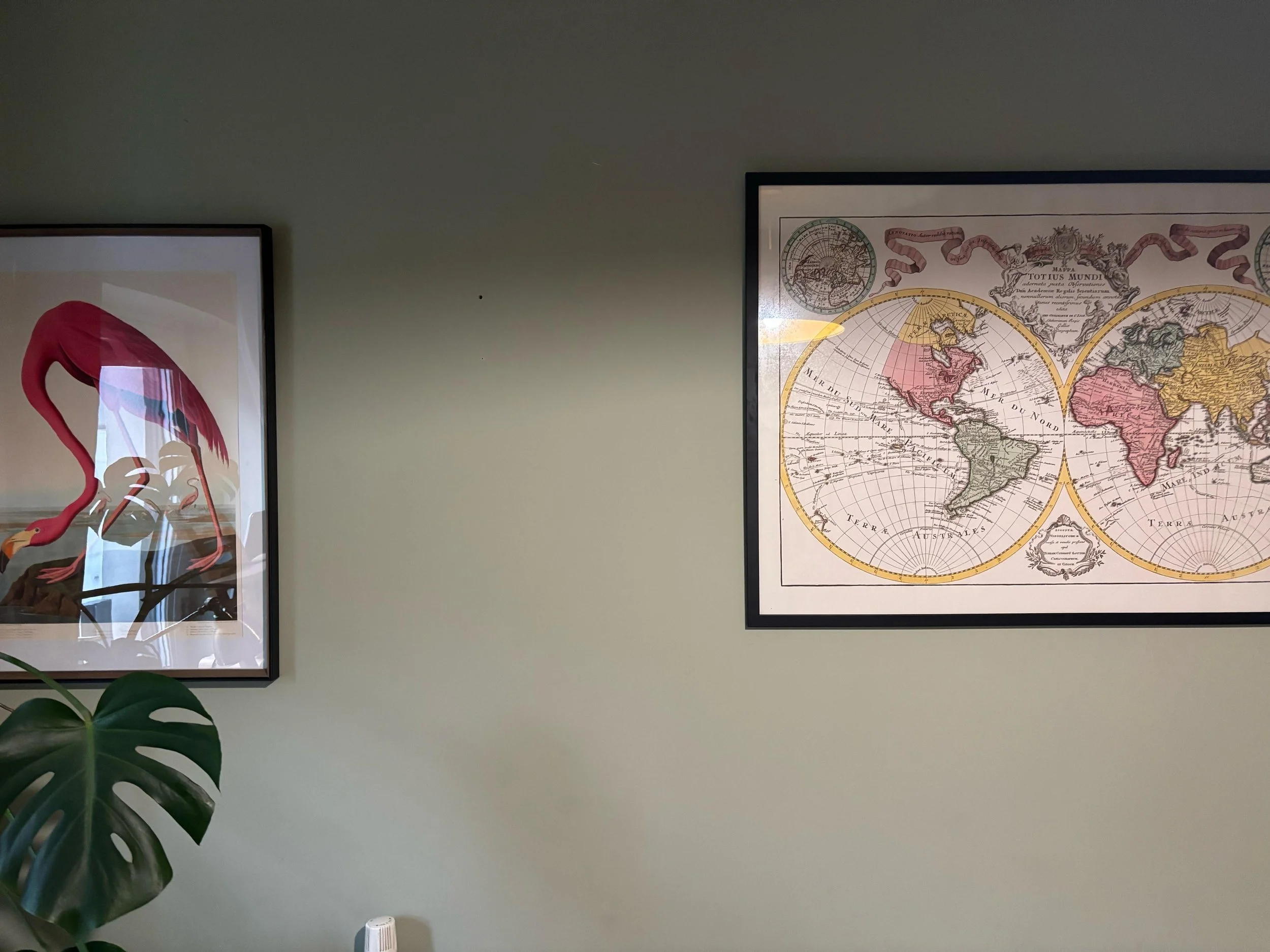 WhatsApp Image 2025-02-24 at 11.21.57 AM (1).jpeg