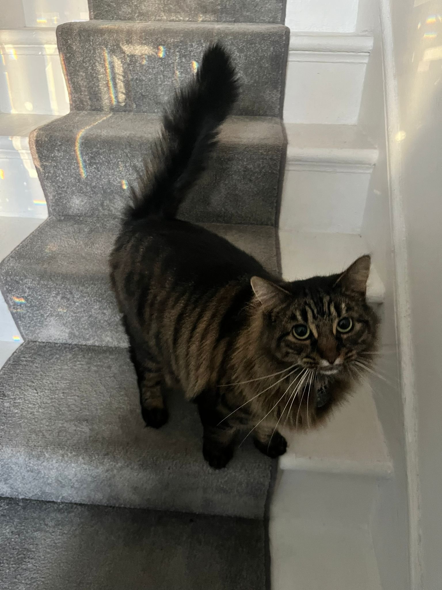 WhatsApp Image 2025-11-26 at 11.40.33 AM.jpeg