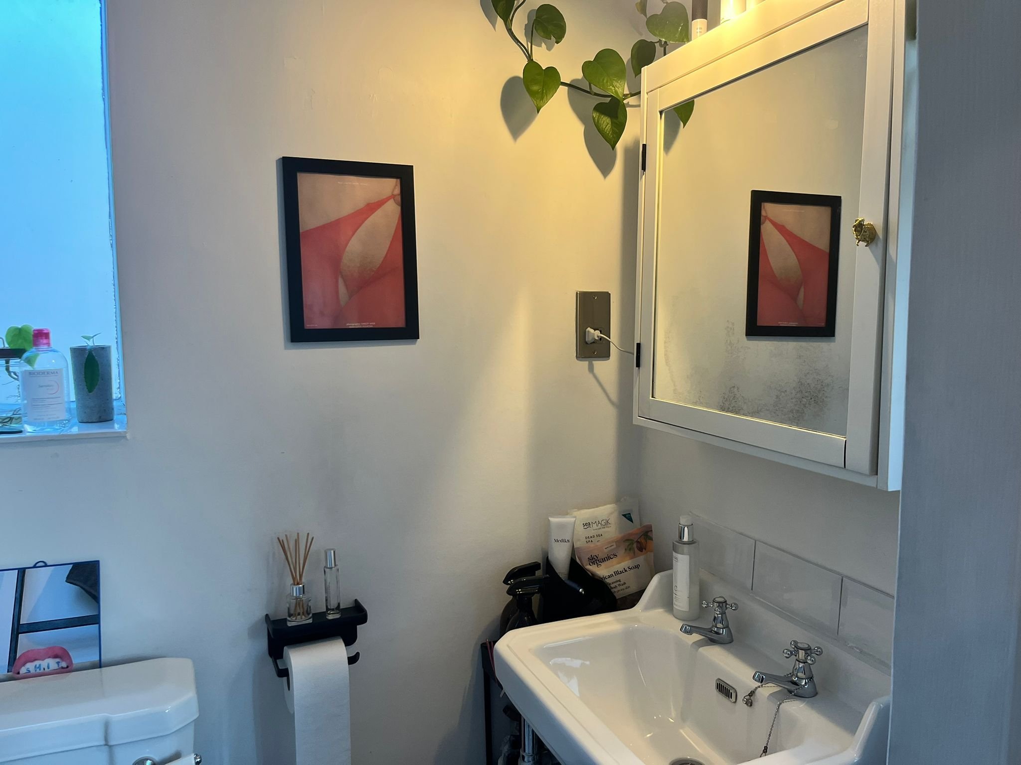 WhatsApp Image 2025-11-26 at 11.40.50 AM.jpeg