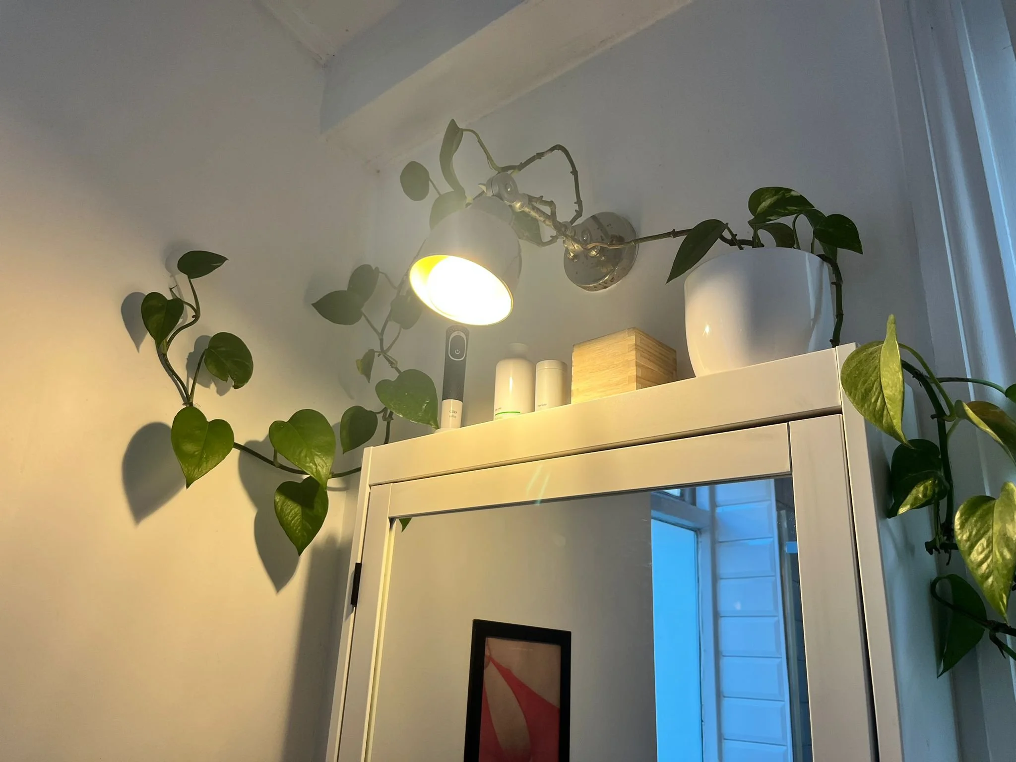 WhatsApp Image 2025-11-26 at 11.40.53 AM.jpeg