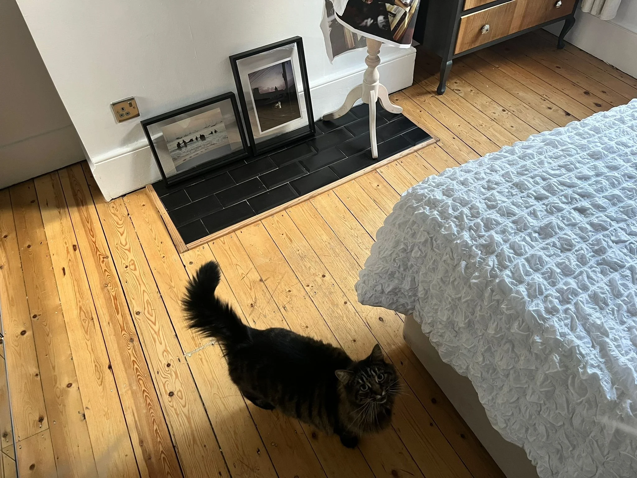 WhatsApp Image 2025-11-26 at 11.41.02 AM (2).jpeg