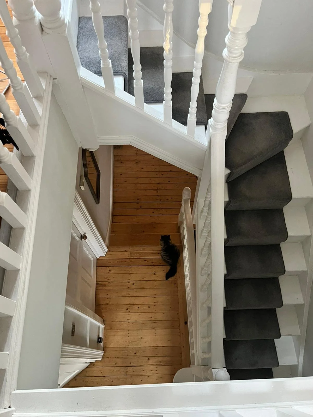 WhatsApp Image 2025-11-26 at 11.41.07 AM.jpeg