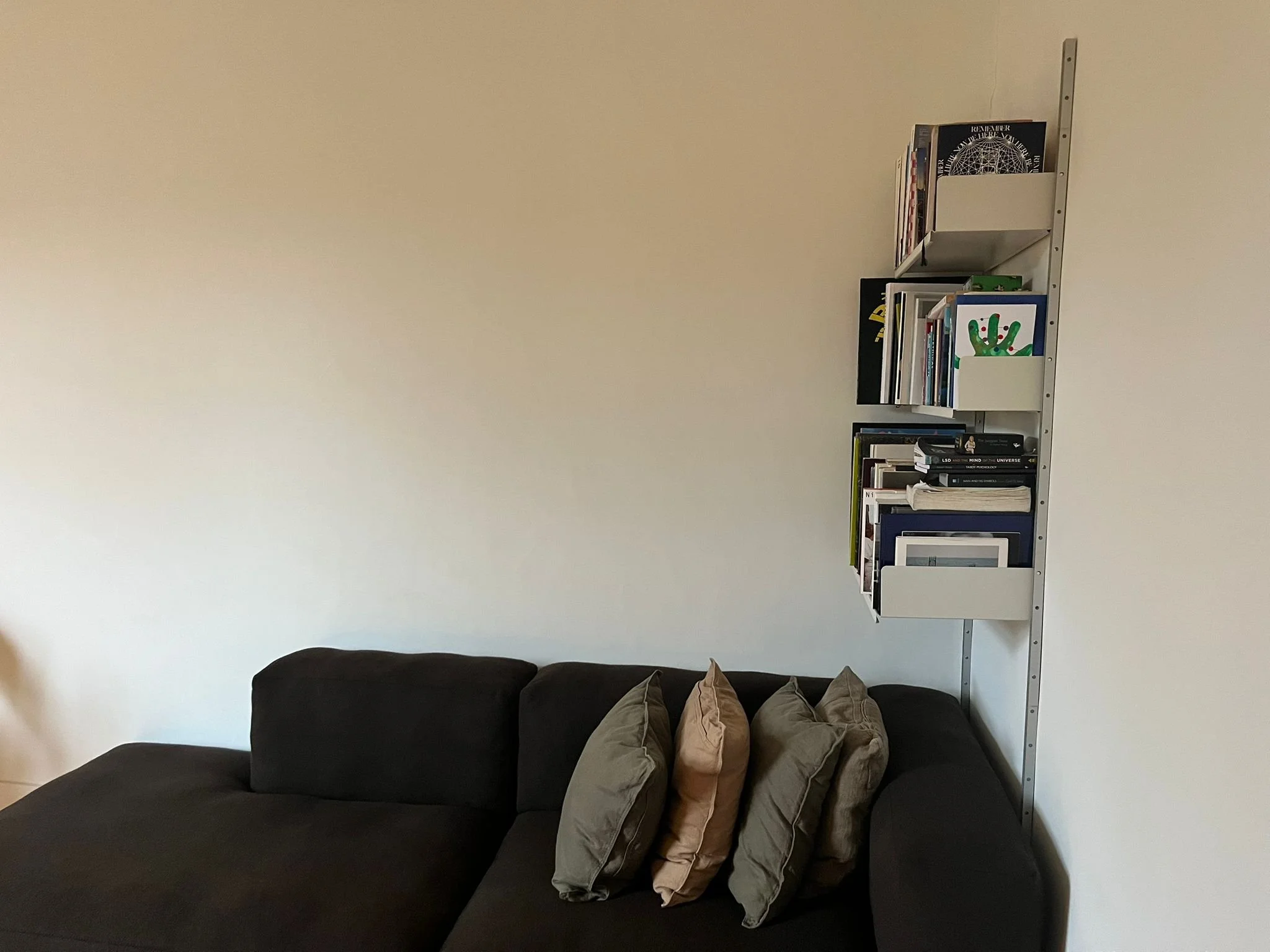 WhatsApp Image 2026-02-06 at 11.32.36 AM.jpeg