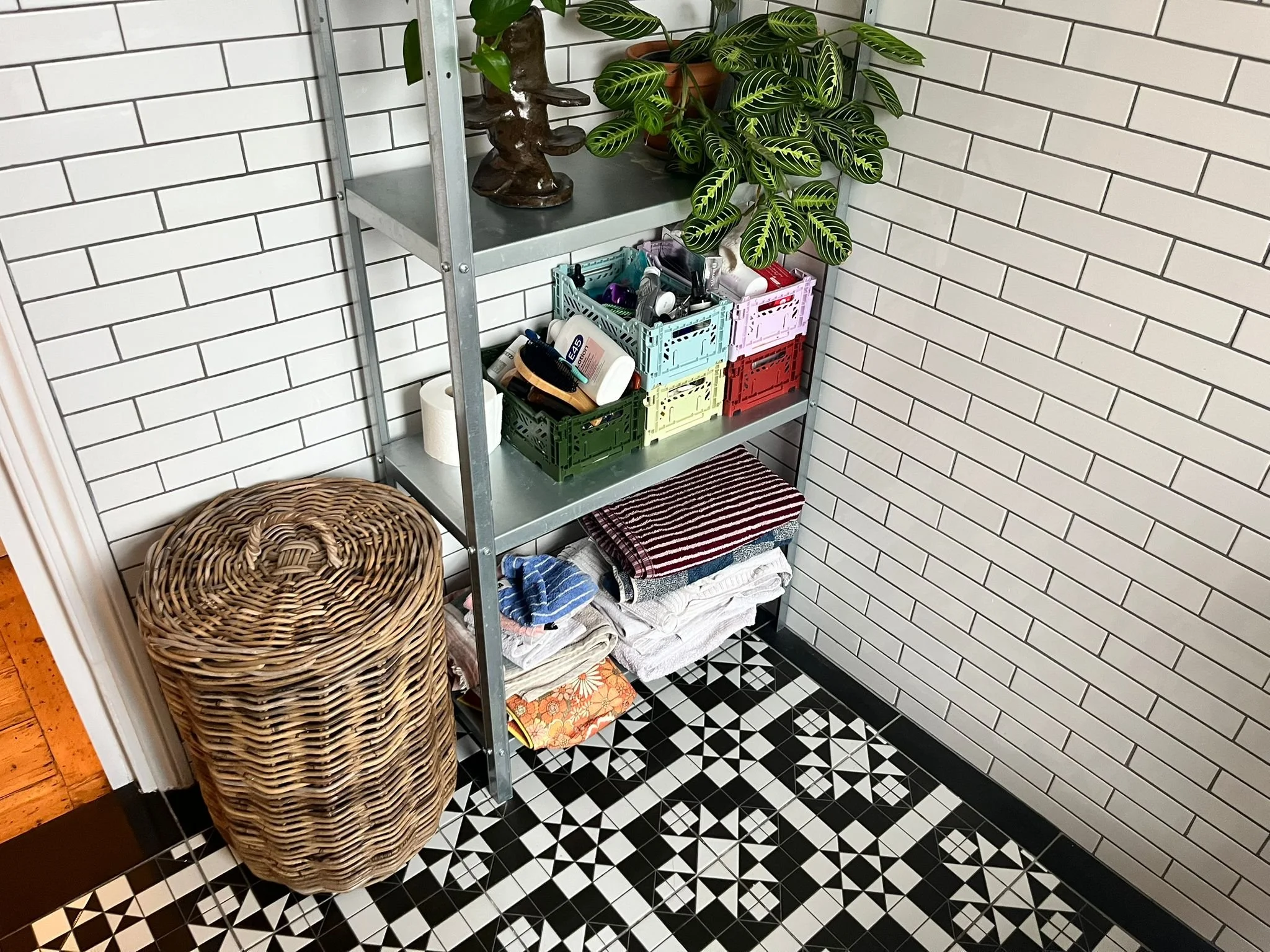 WhatsApp Image 2026-02-06 at 11.35.25 AM.jpeg