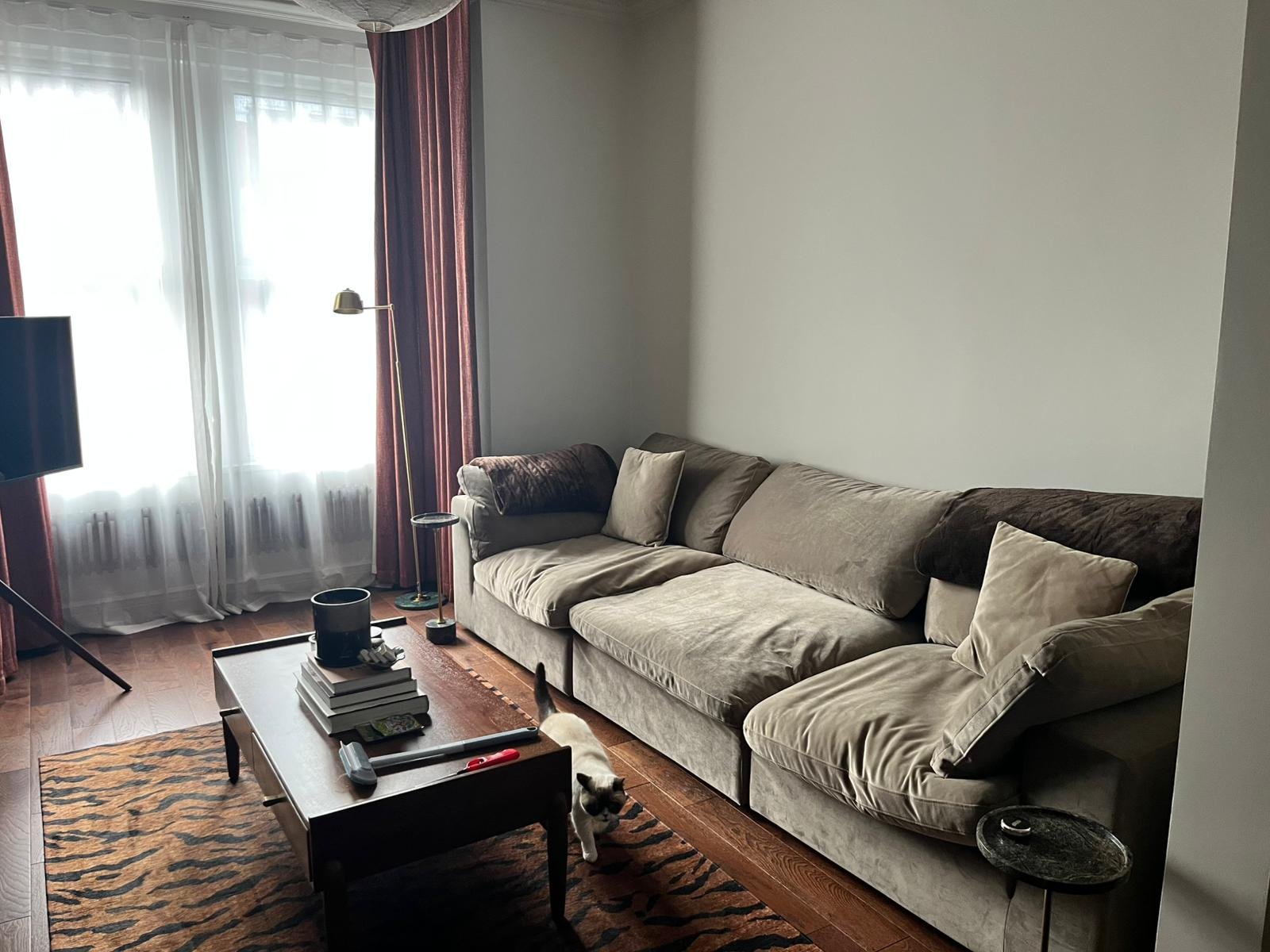 WhatsApp Image 2026-02-06 at 1.43.24 PM (1).jpeg