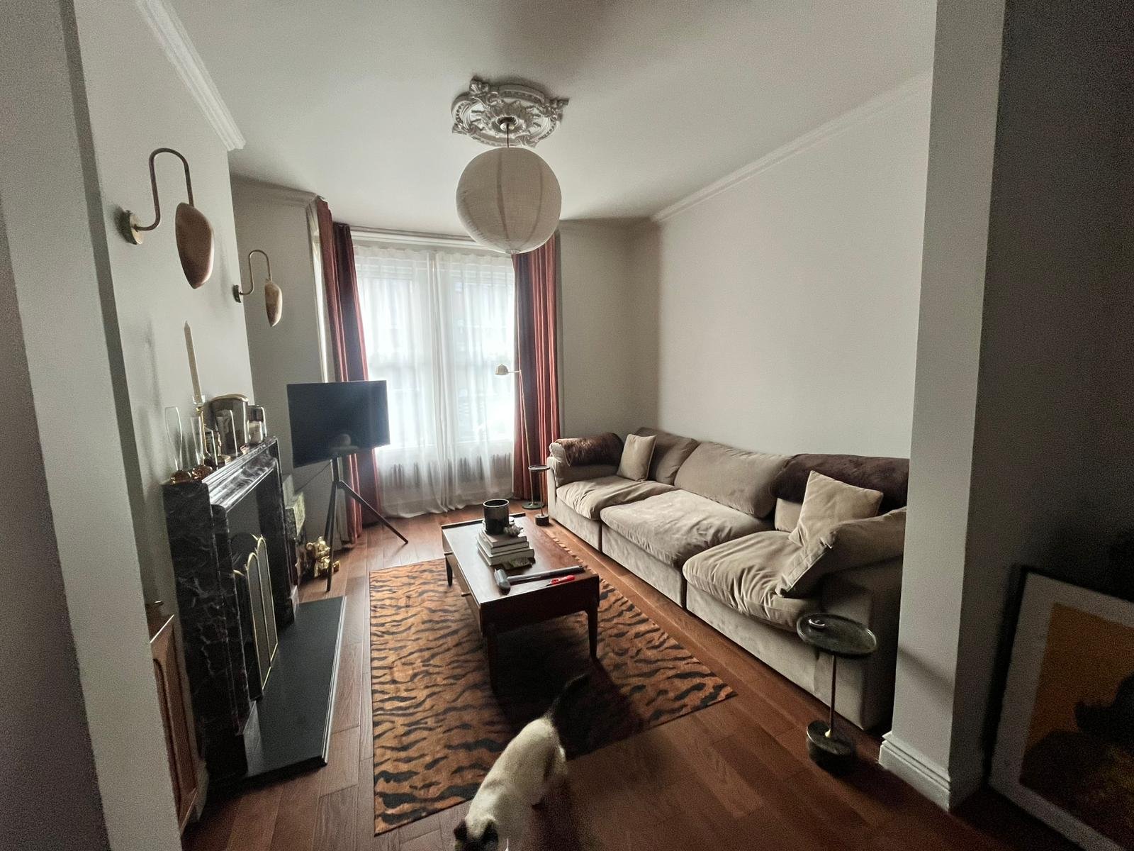 WhatsApp Image 2026-02-06 at 1.43.24 PM (4).jpeg