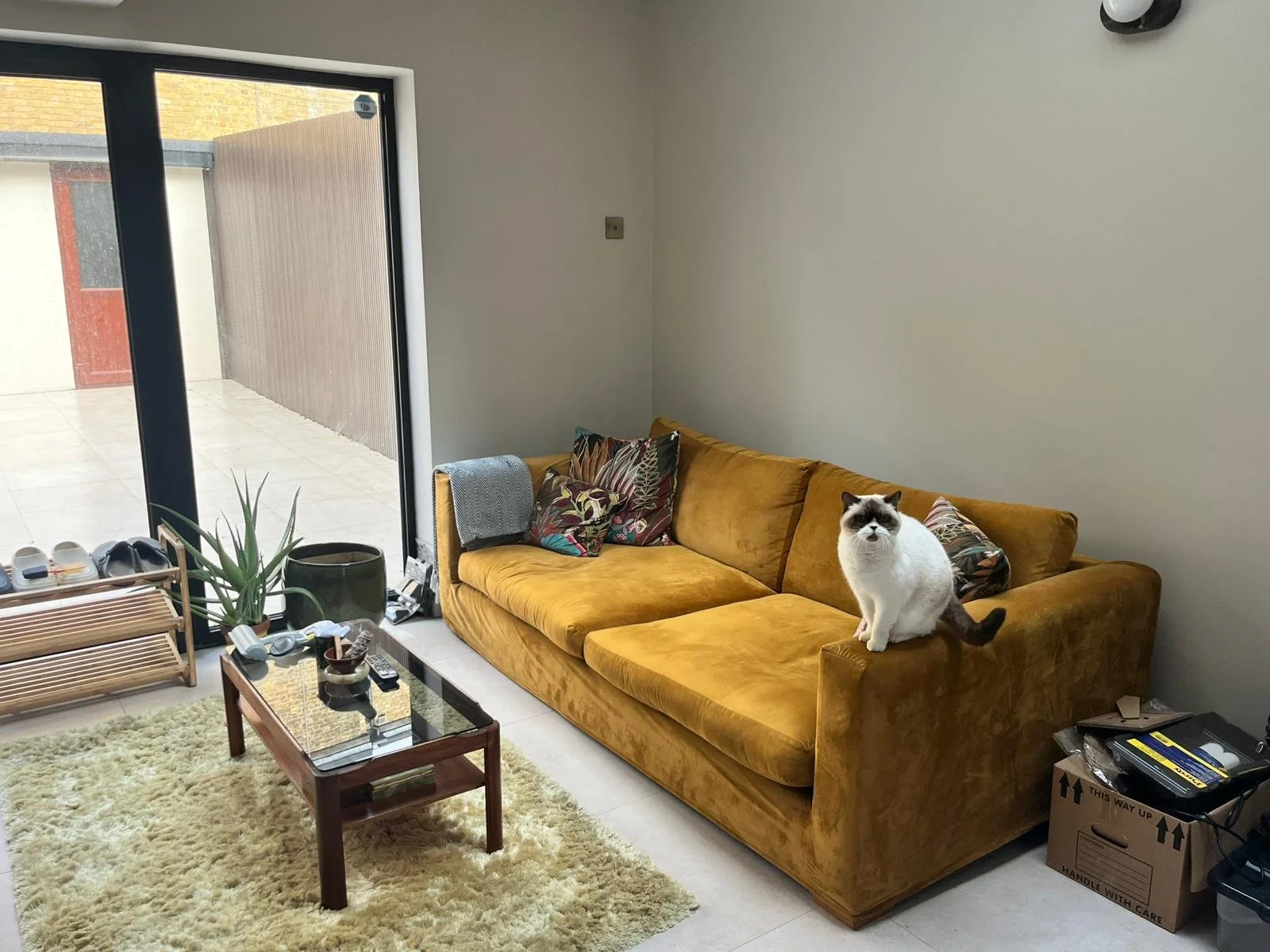 WhatsApp Image 2026-02-06 at 1.43.25 PM (3).jpeg