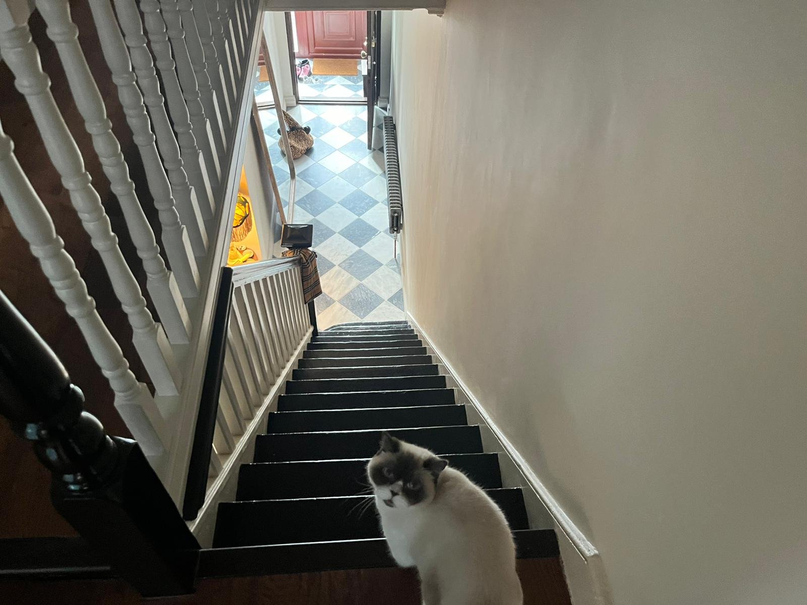 WhatsApp Image 2026-02-06 at 1.43.35 PM (1).jpeg