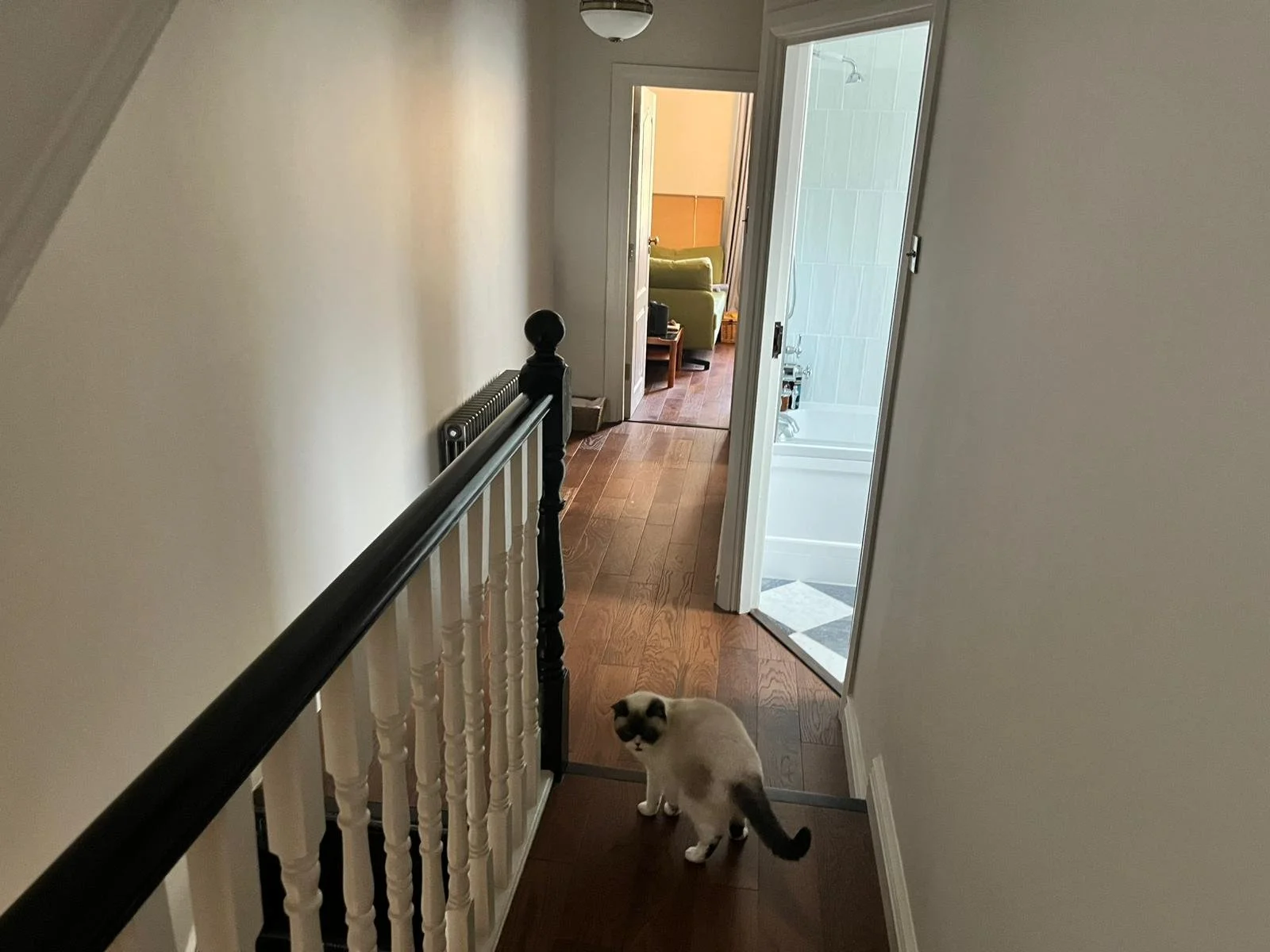 WhatsApp Image 2026-02-06 at 1.43.35 PM.jpeg