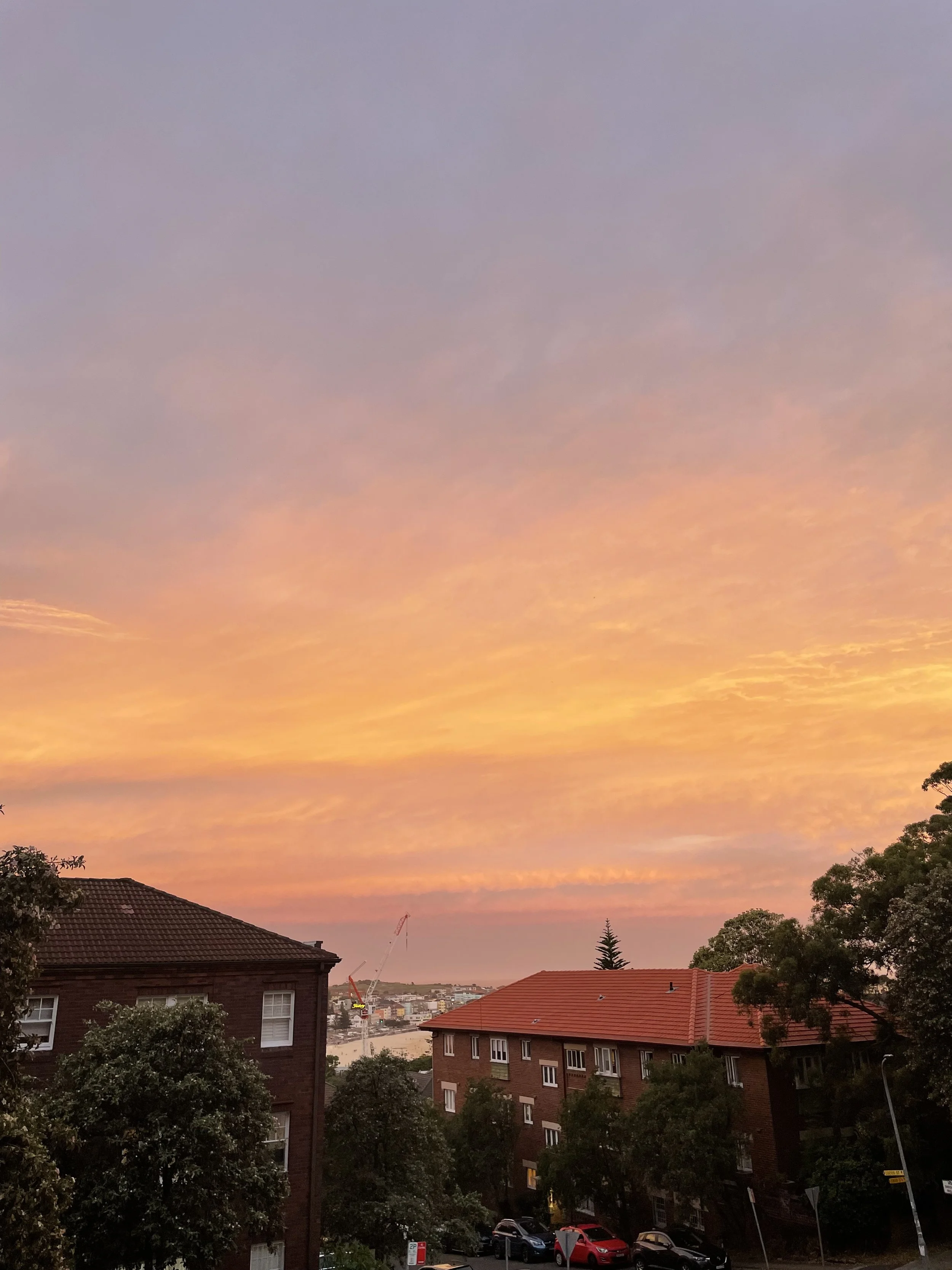 Photo 25-11-2025, 7 46 23 pm.jpg