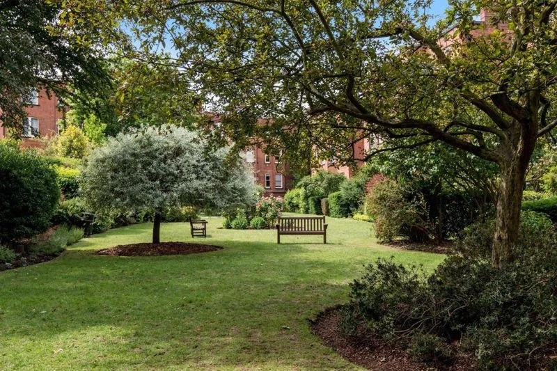 garden 3.jpeg
