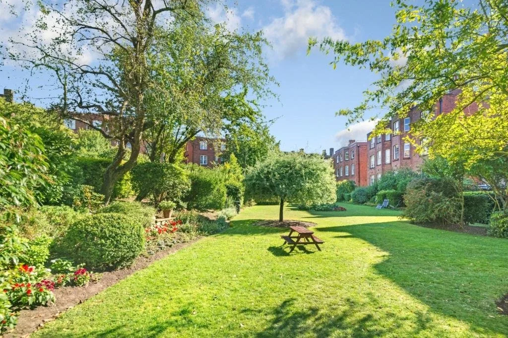 garden 5.jpg