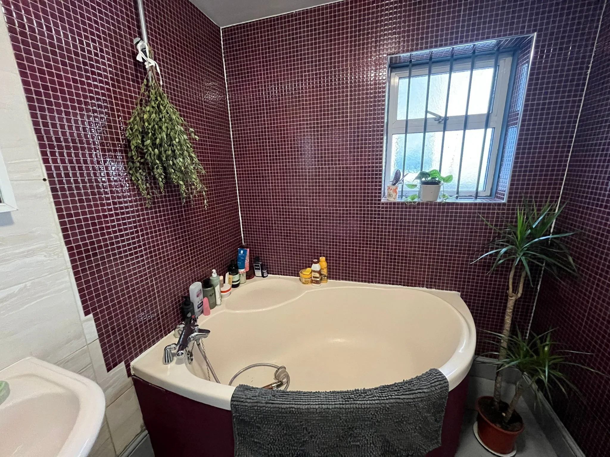 image  (42).jpeg