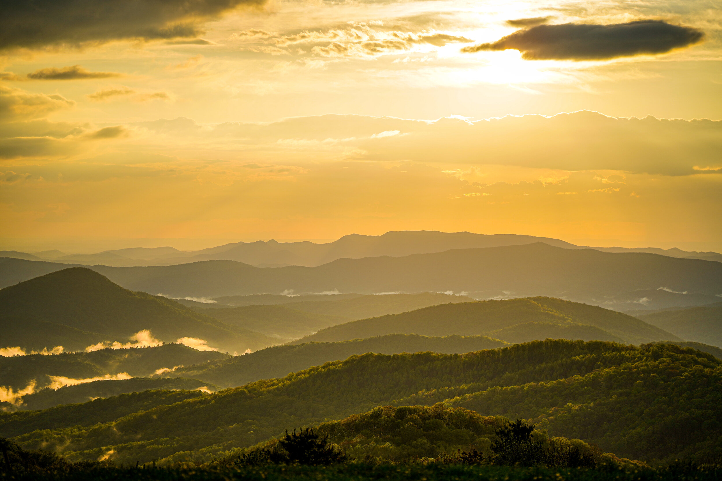  APPALACHIAN COFFEE COMPANY  Coffee. Community. Creation. 