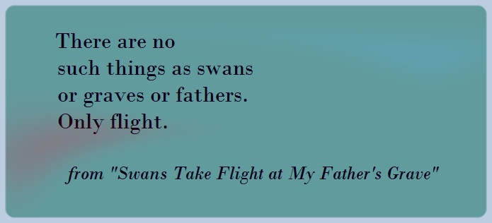 Swans Take Flight Excerpt.jpg