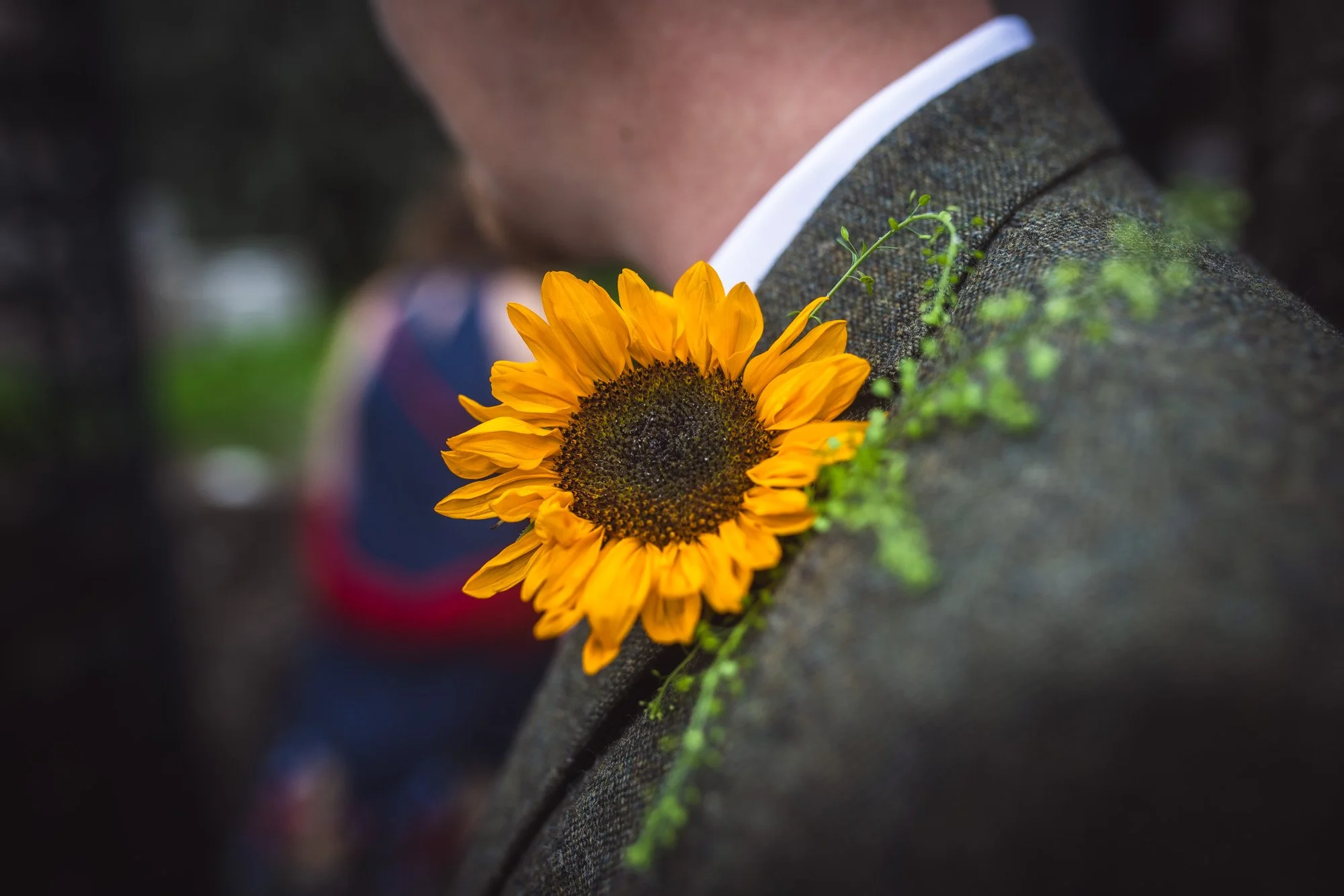 sunflower-buttonhole-for-the-groom-Exeter-Devon.jpg