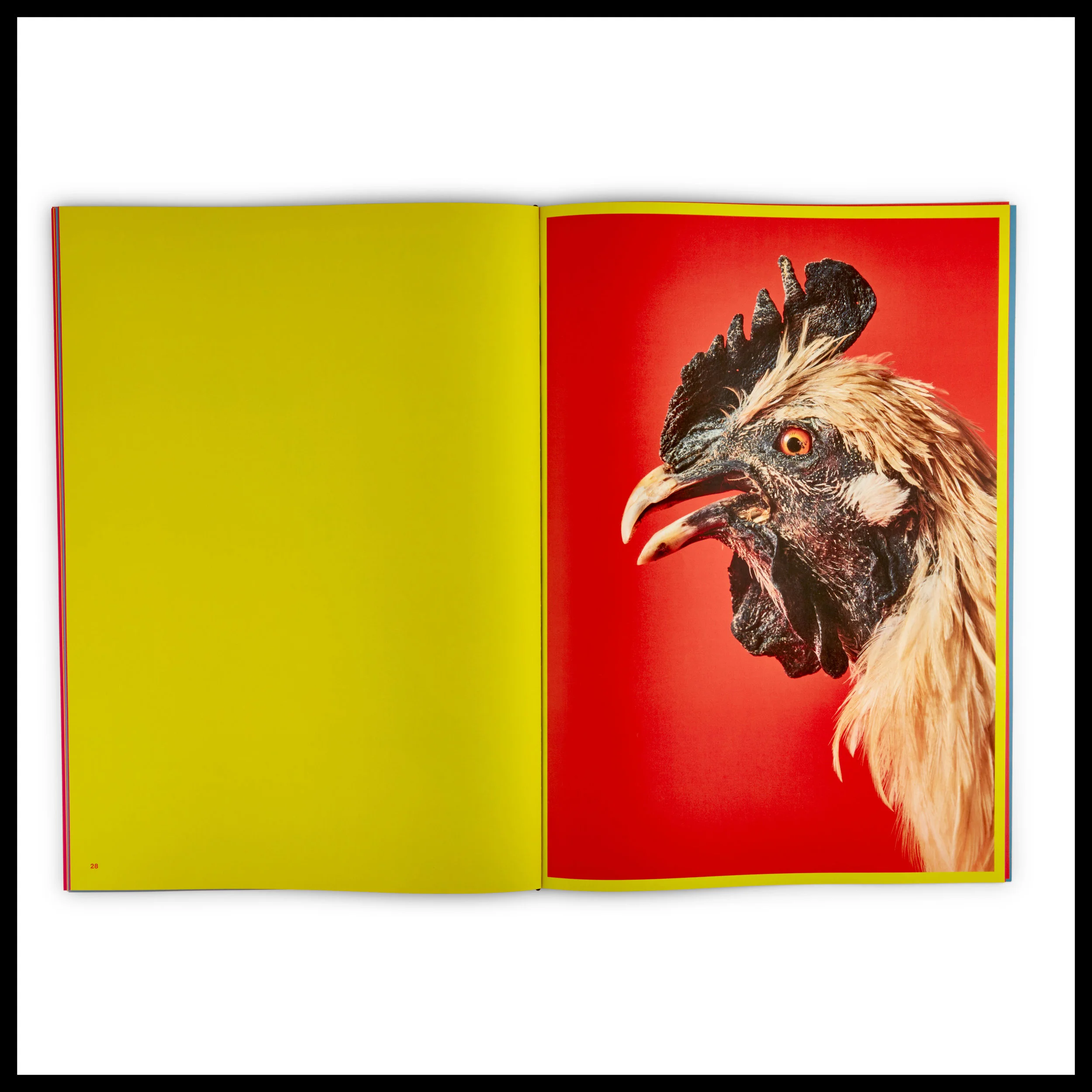 Reverberation_Book11.jpg