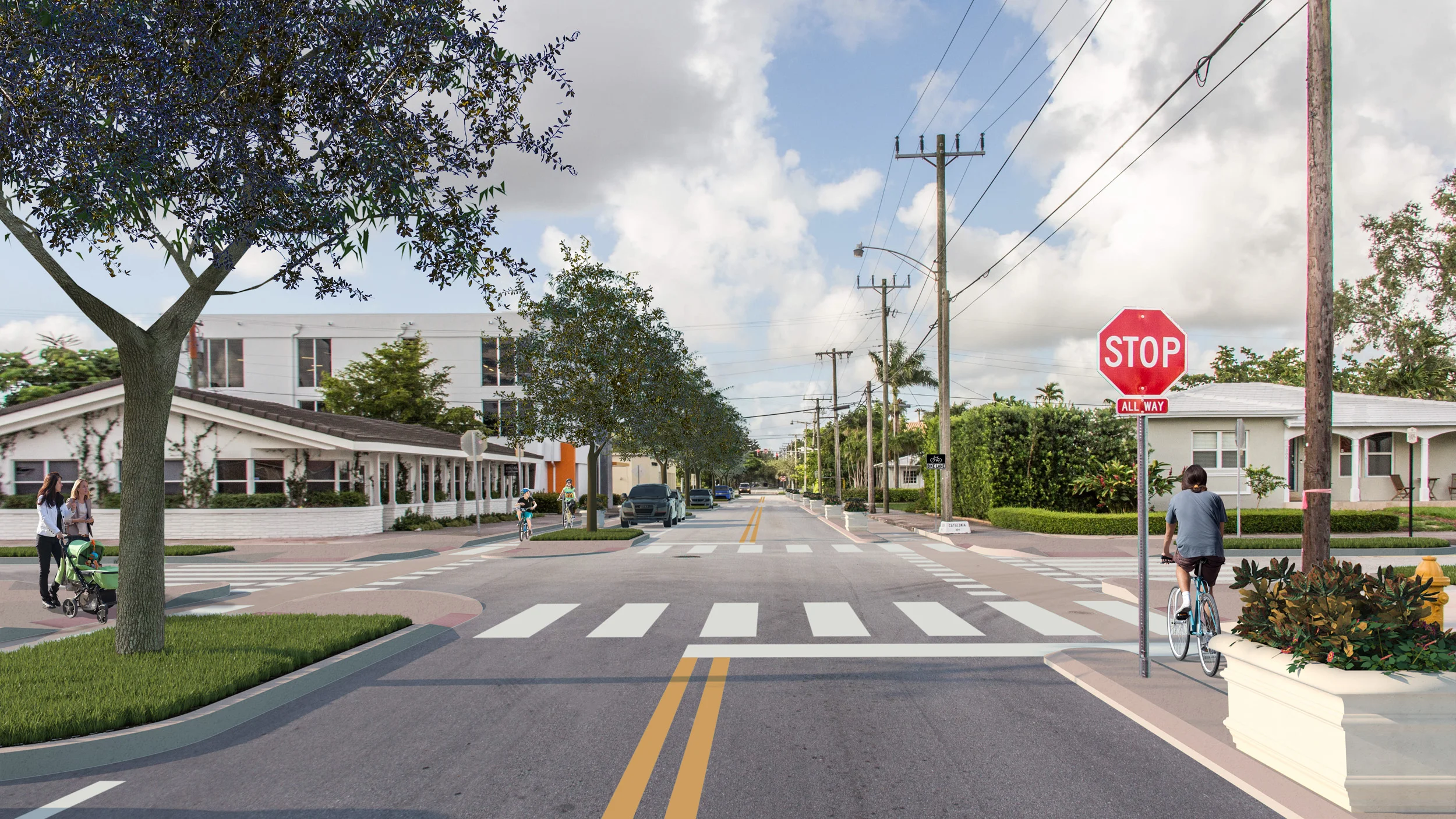 Salzedo_Separated Bike Lane 2_web.jpg