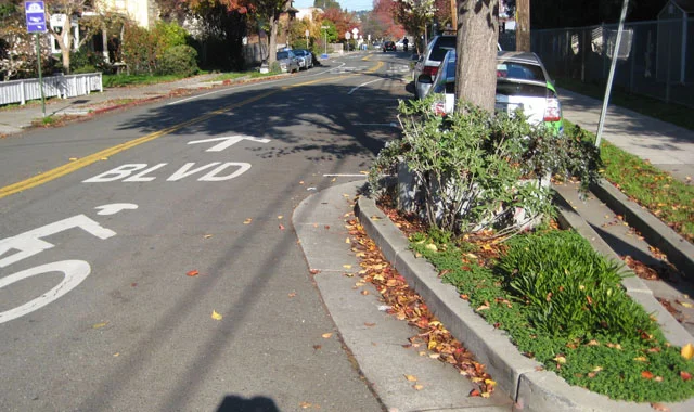 NACTO - chicane-berkeley-ca.jpg
