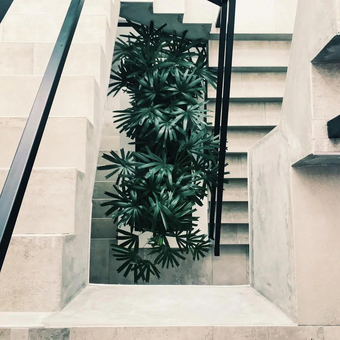 Panama Arts Society 🌿
.
.
.
#arts #art #panama #travel #vsco #travelaway #vscocam