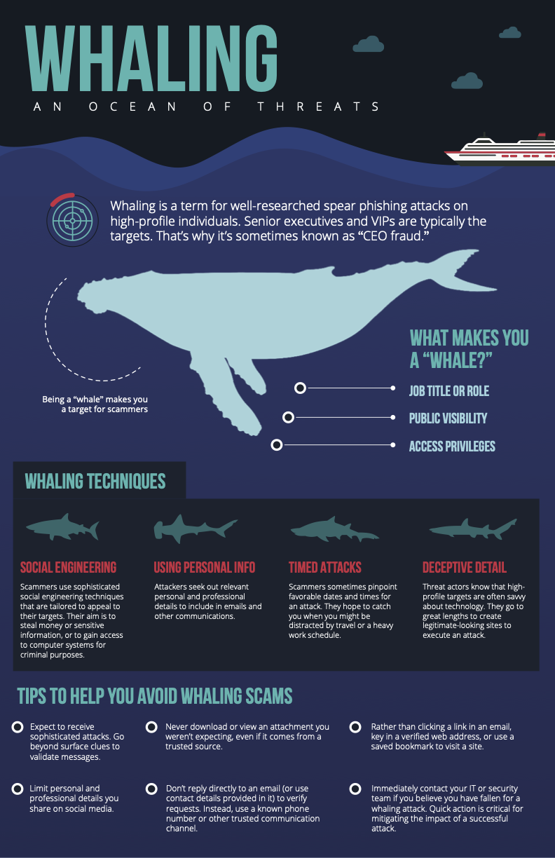 TP_Whaling infographic_v6.png