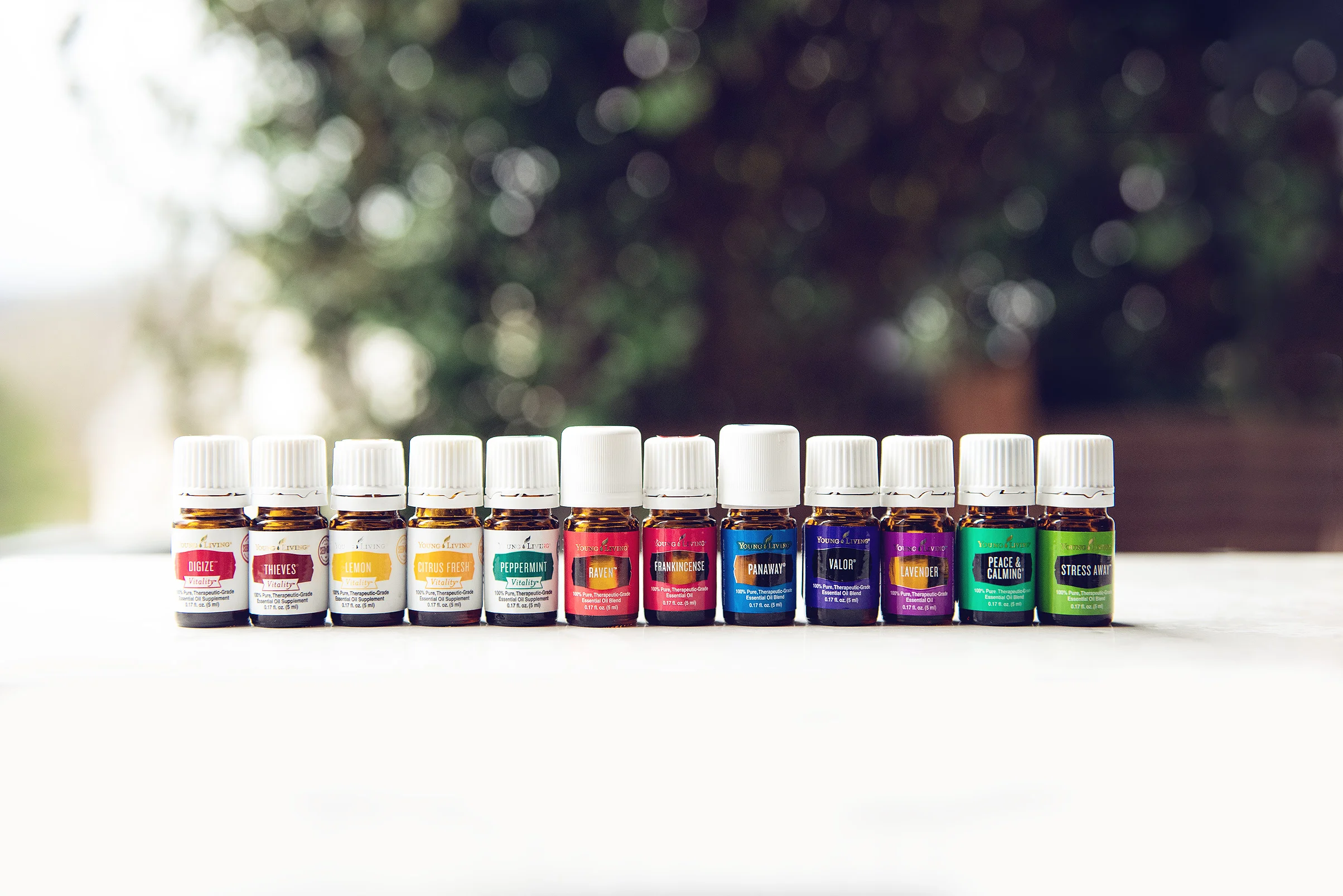 web_2019-kit-oils.jpg