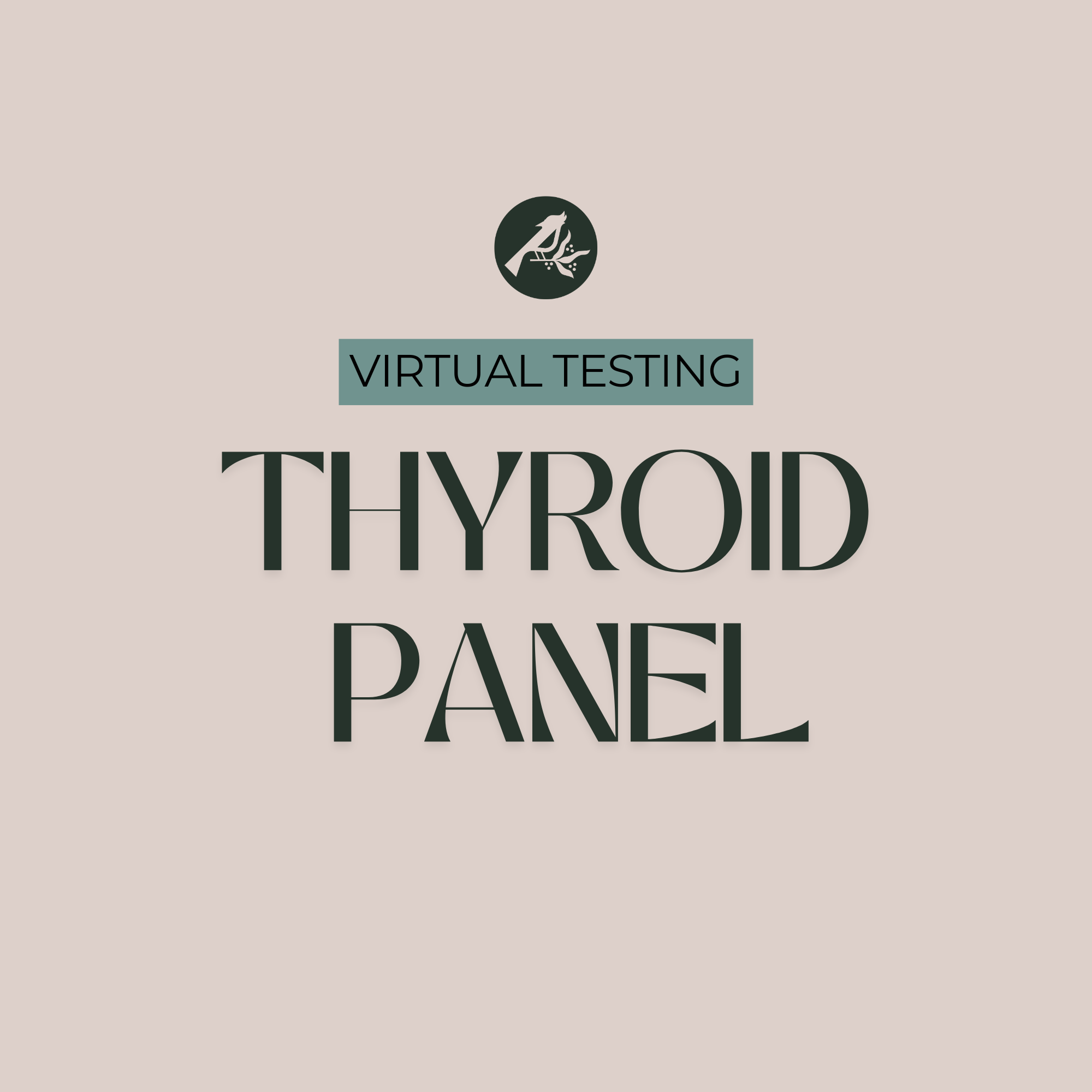 wisdom and truth testing (2000 x 2000 px) (6).png