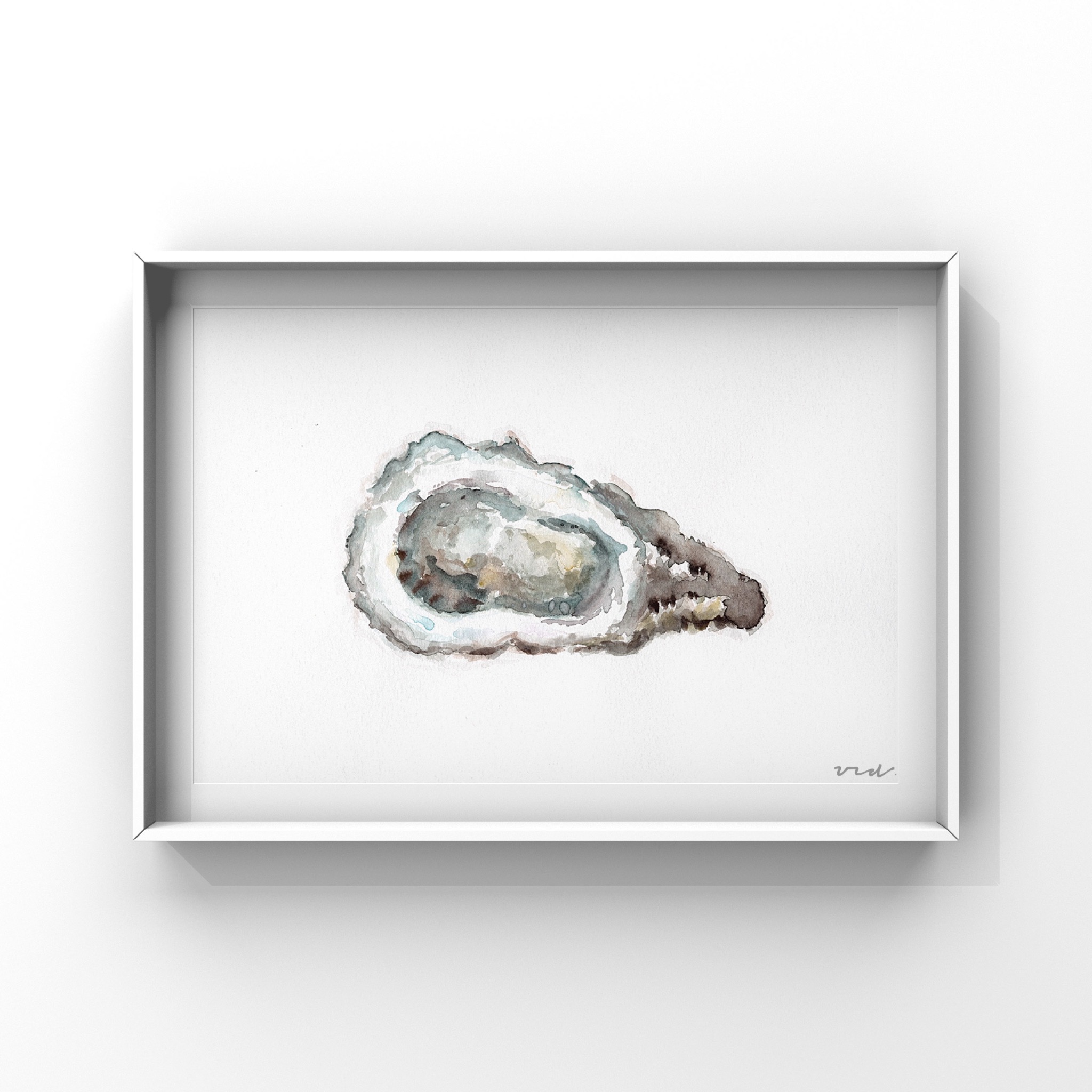 Oyster 1
