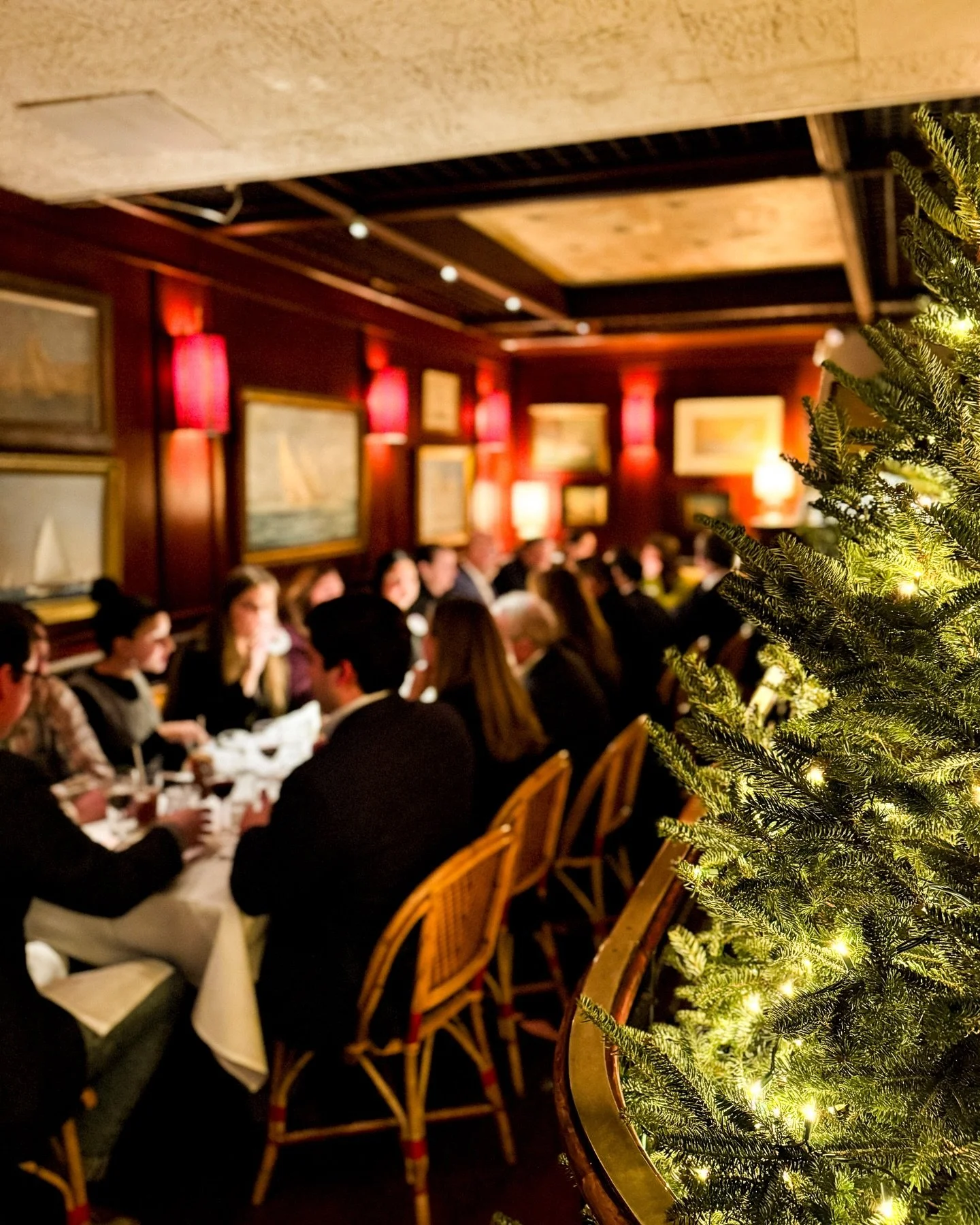 Our tree is up 🎄 The holiday season is here ✨ and Island is shining even brighter 🏝️ 
.
.
.
#UpperEastSide #ues #carnegiehill #MadisonAvenue