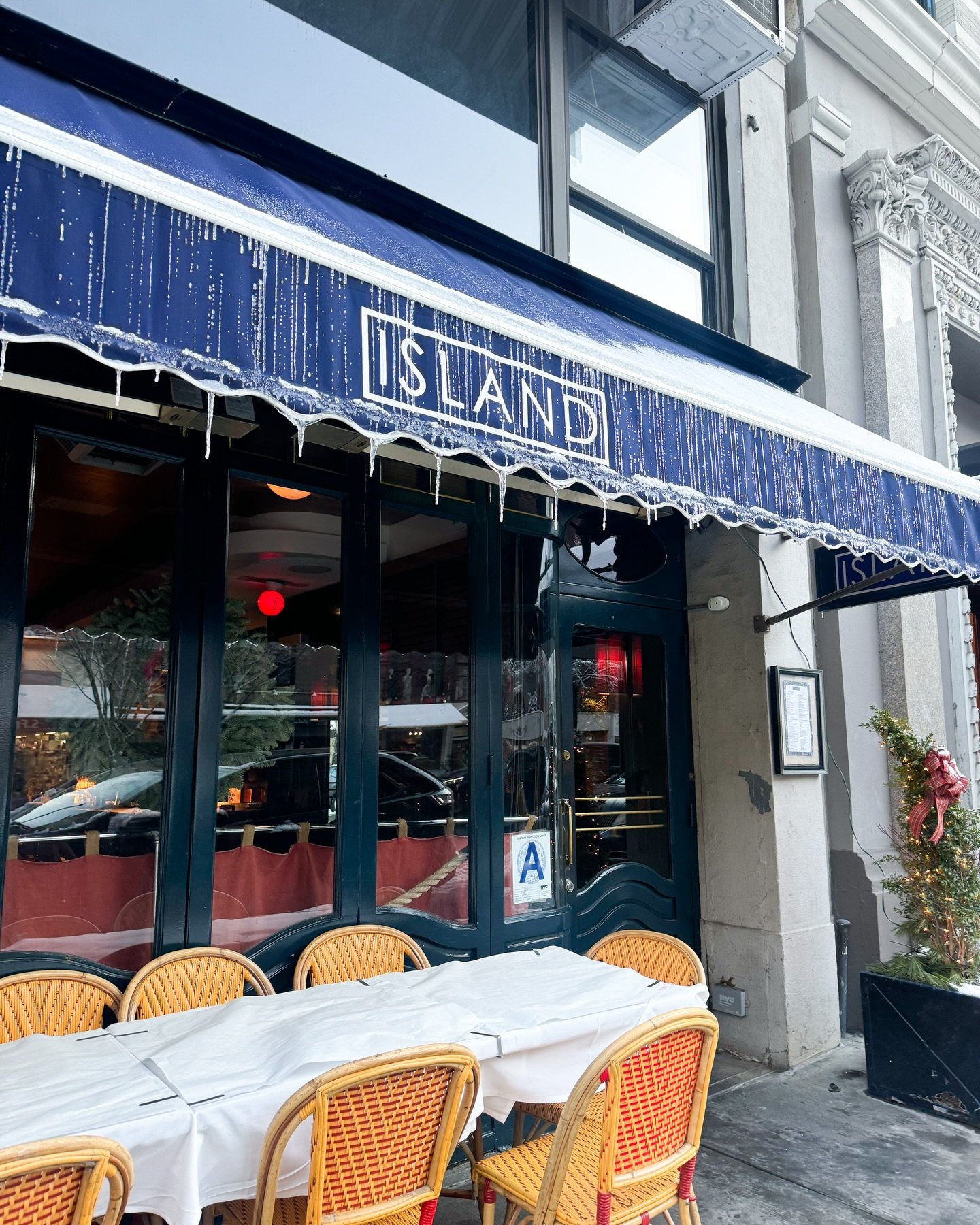 Snow day on Madison ❄️ ⛄️