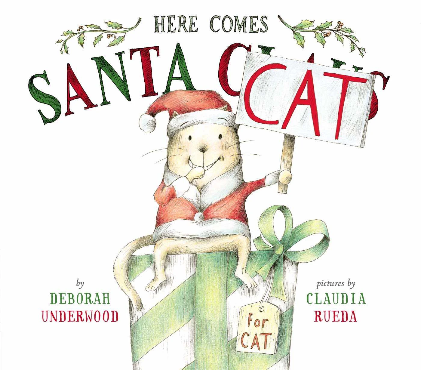 santa cat.jpg