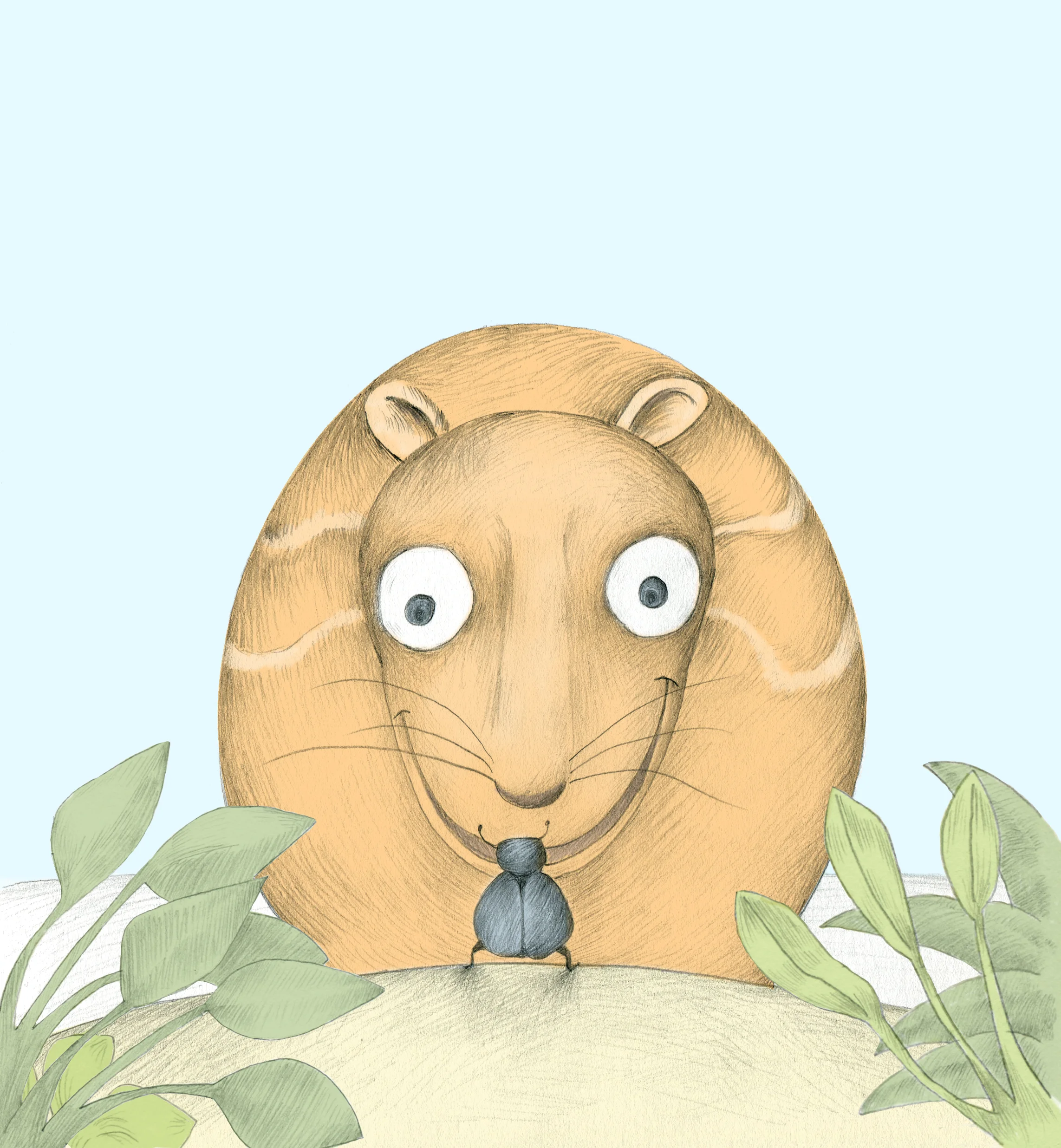 Paca-cover.jpg