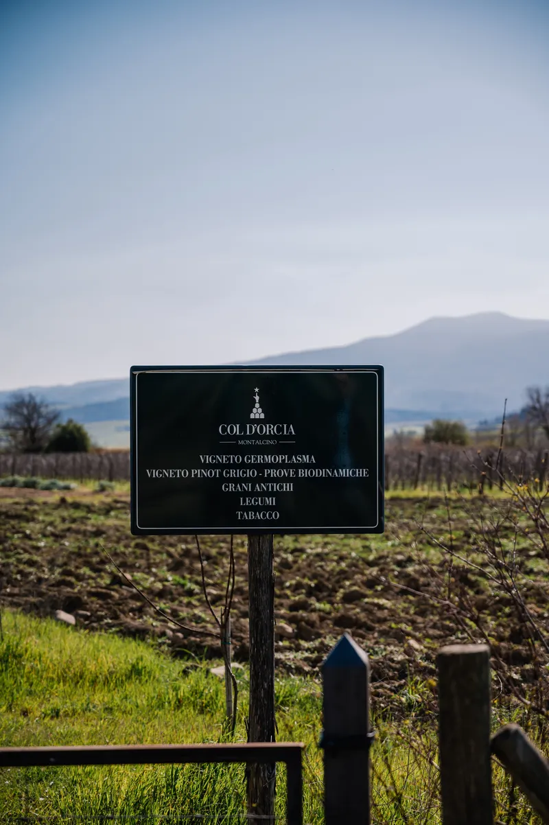 Vineyard_signpost_-_Col_dOrcia.width-800.format-webp 2.png
