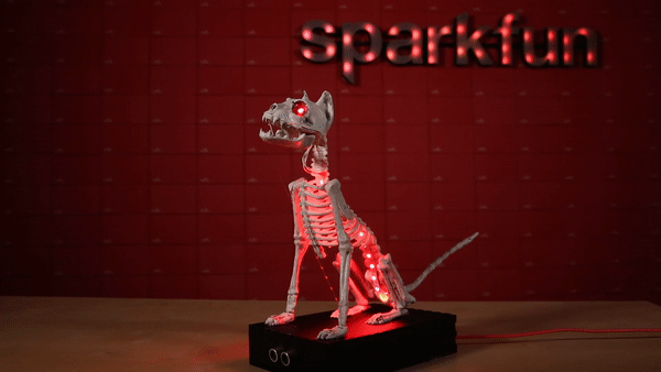 DIY Spooky Halloween Cat