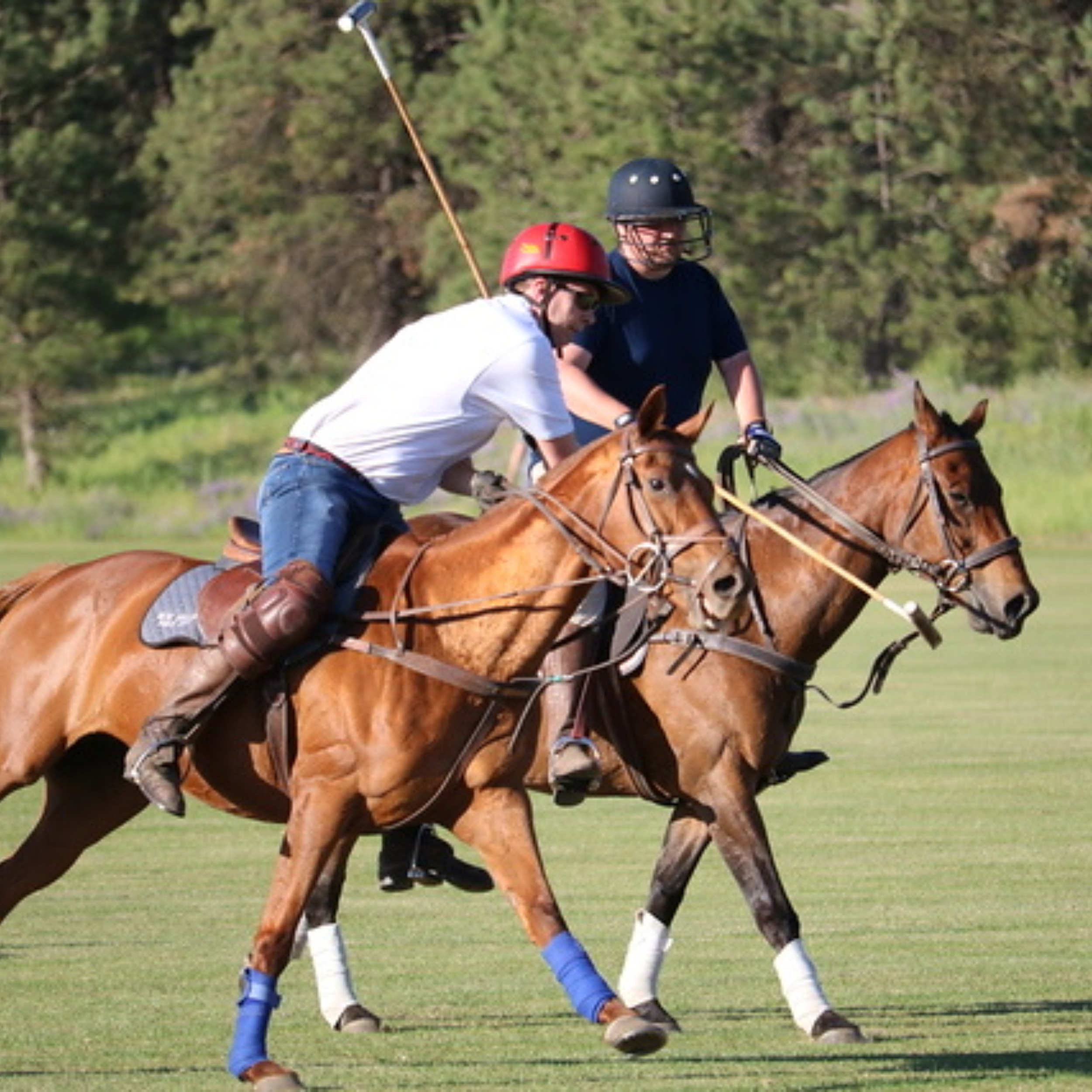 Club Chukkers — Spokane Polo Club