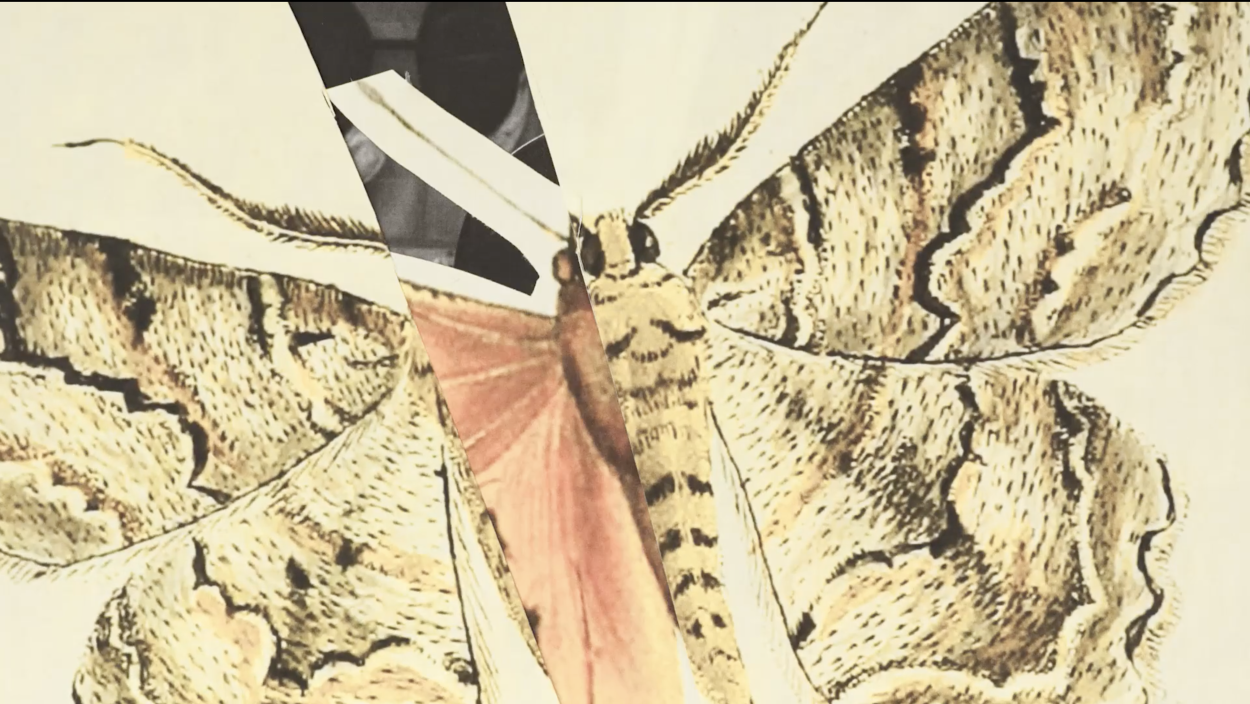 Screen Shot 2020-02-04 at 4.55.55 PM.png