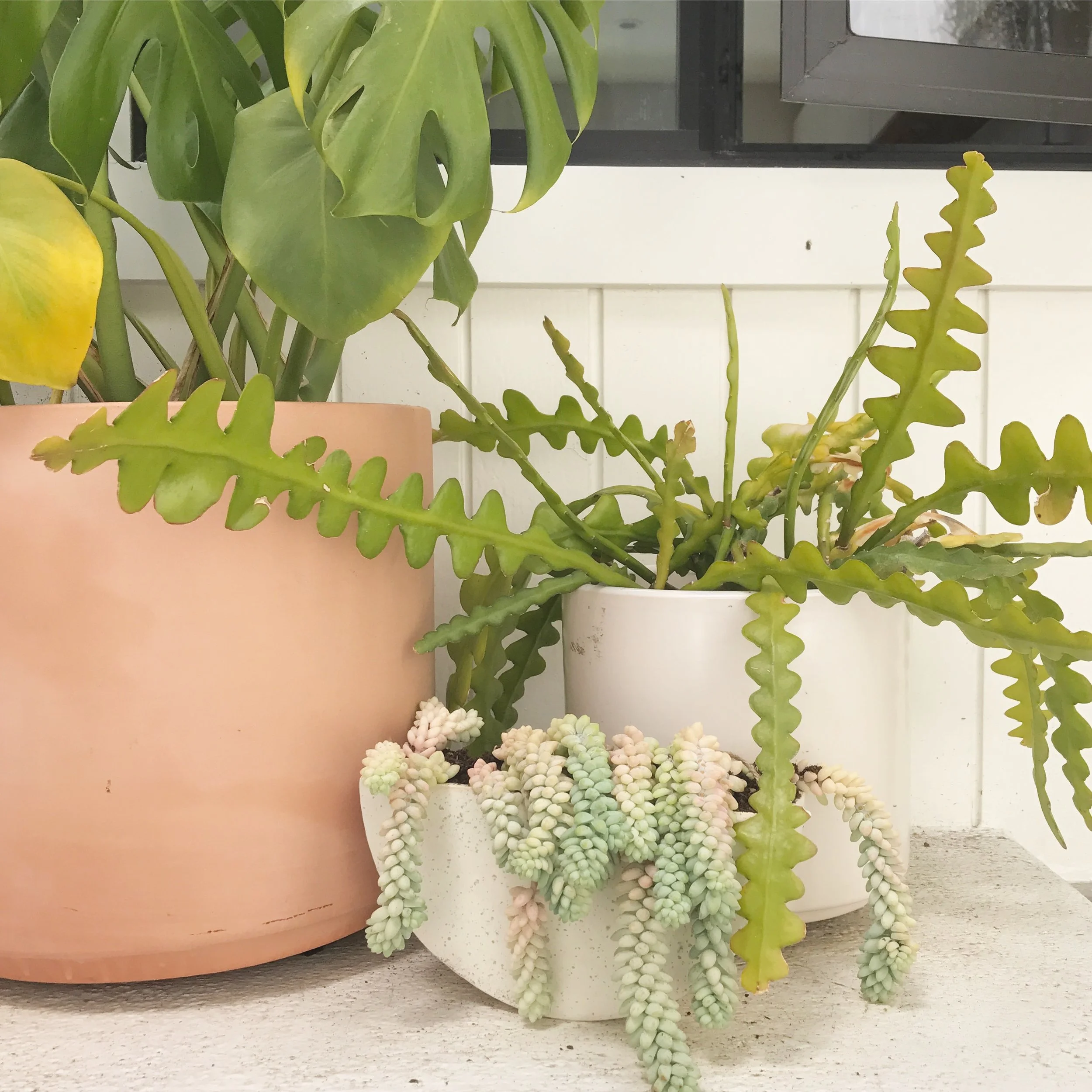 day 094/100 (bonus, because I can't count)