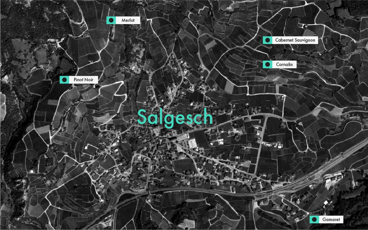 Salgesch Map.jpg