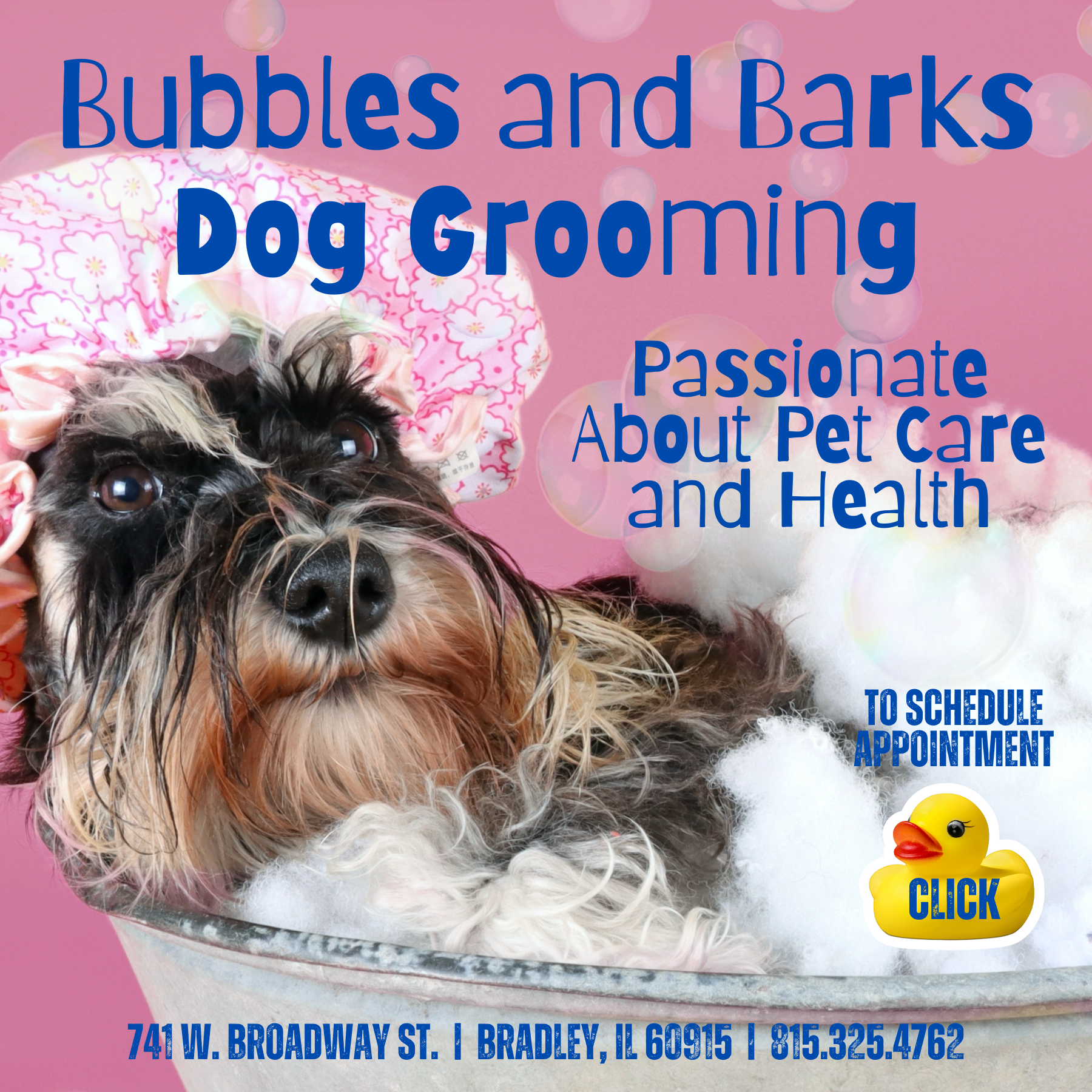 A fluffy dog lying in a tub filled with bubbles, with a pink floral towel and pink background, advertising a dog grooming service called Bubbles and Barks with contact information and a schedule appointment button.