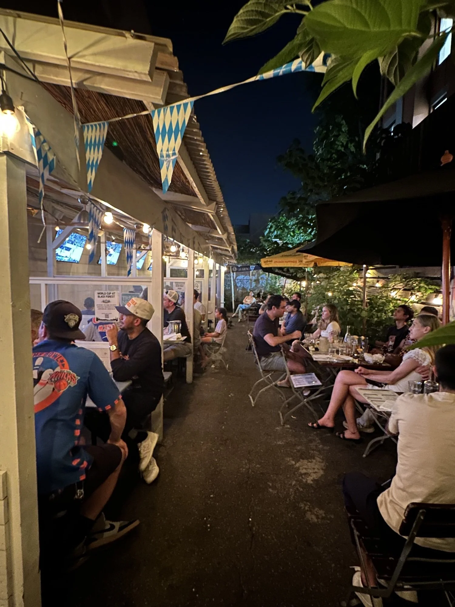 Smith Street - Backyard