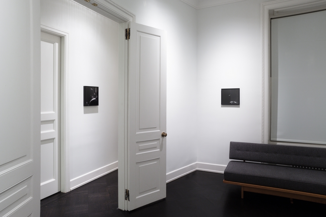 Photo: Courtesy of the artist and Petzel, New York