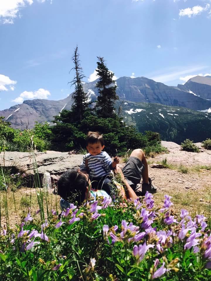 Taking a snack break amongst the Penstemons.