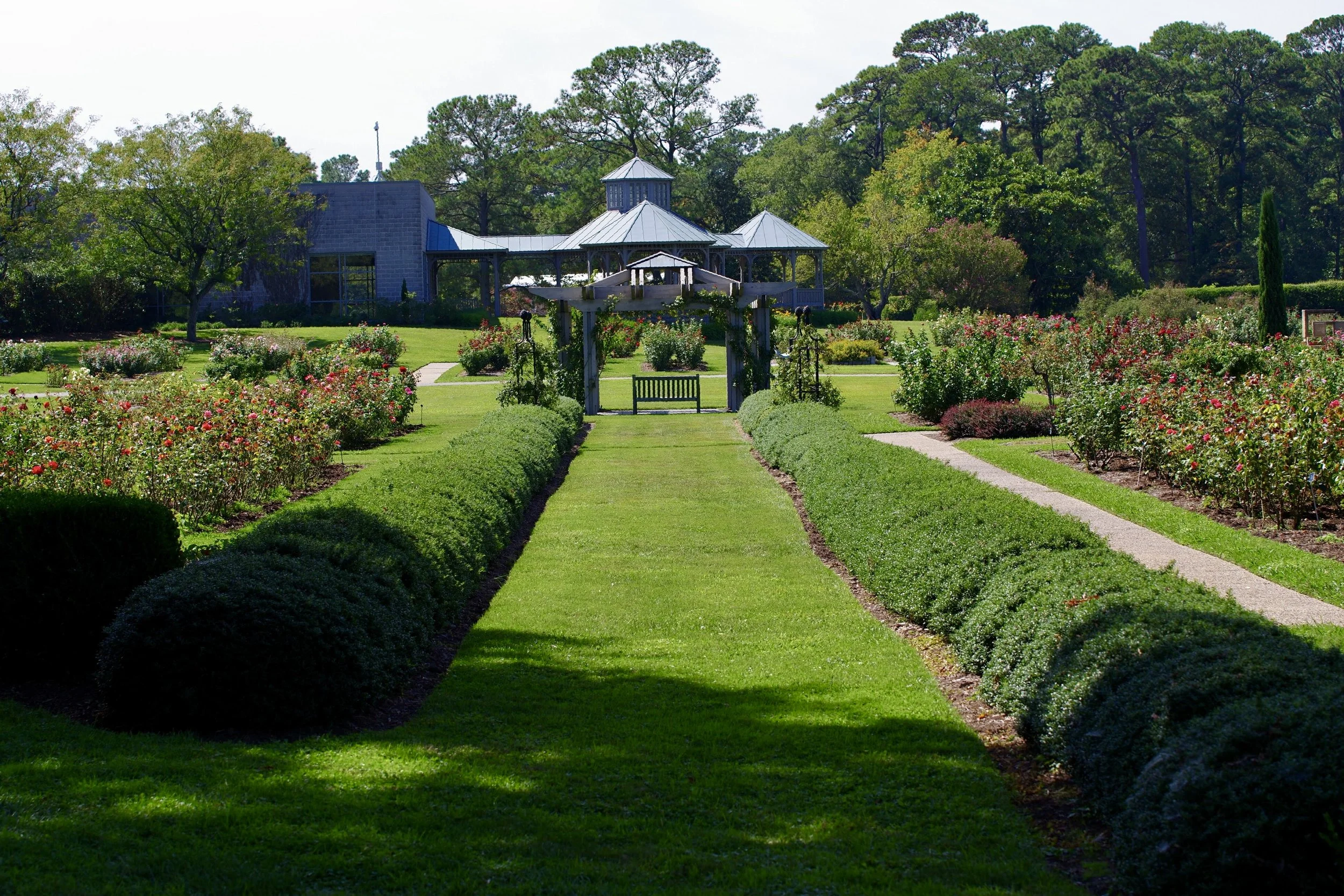 Rose Garden at the Norfolk Botanical Gardens